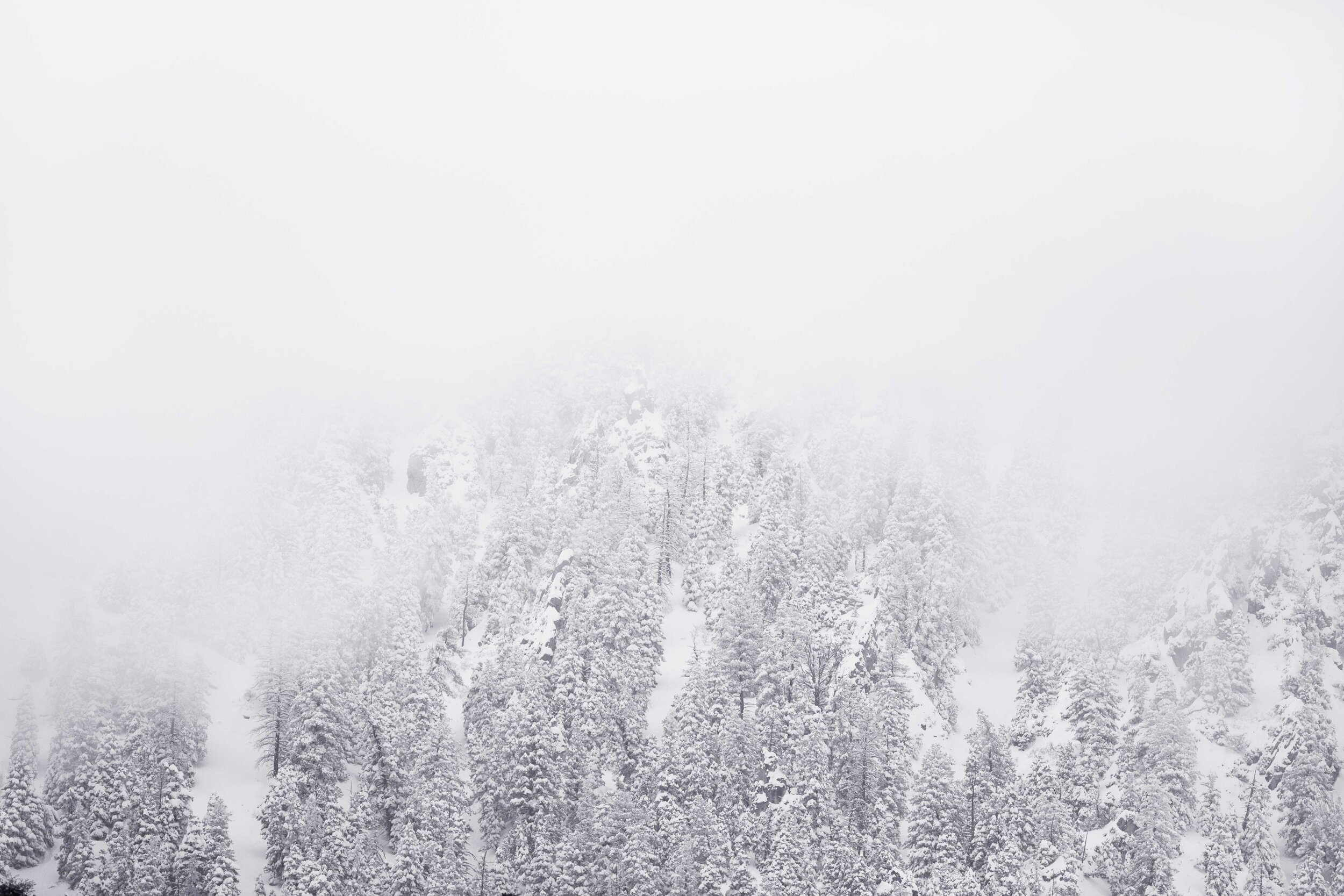 In-the-clouds.jpg