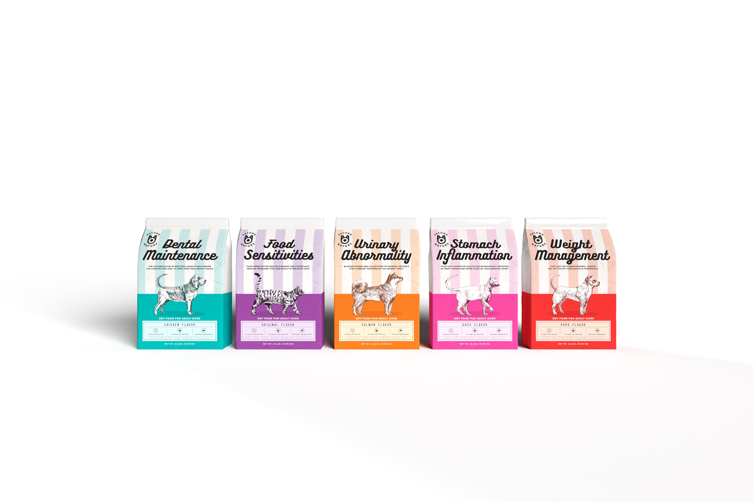 food front-Current View.jpg