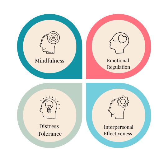 Acceptance and Commitment Therapy (ACT) techniques and core processes, including Mindfulness, Emotional Regulation, Distress Tolerance, and 'Interpersonal Effectiveness.'