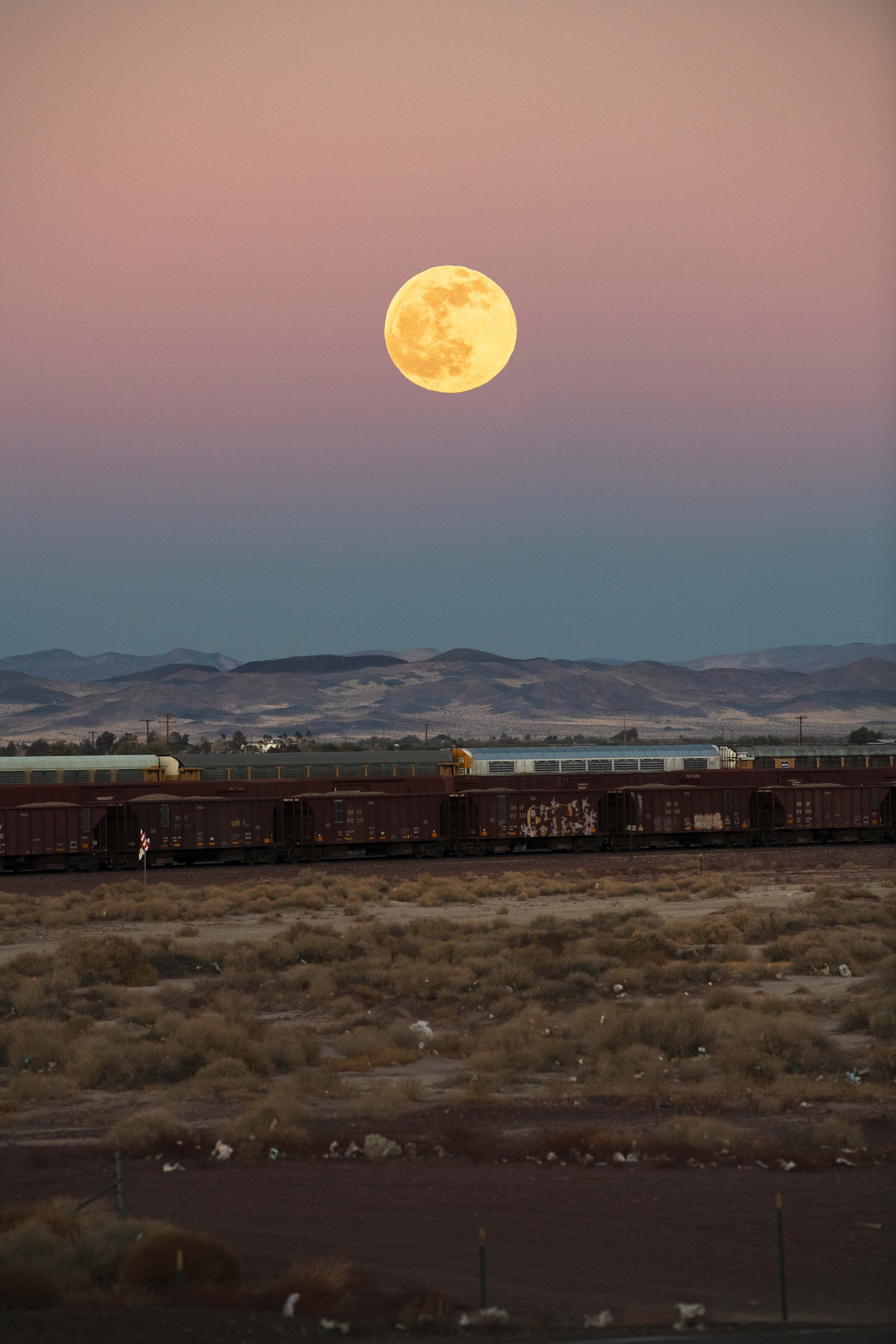 Moon 66 - Emma Albert