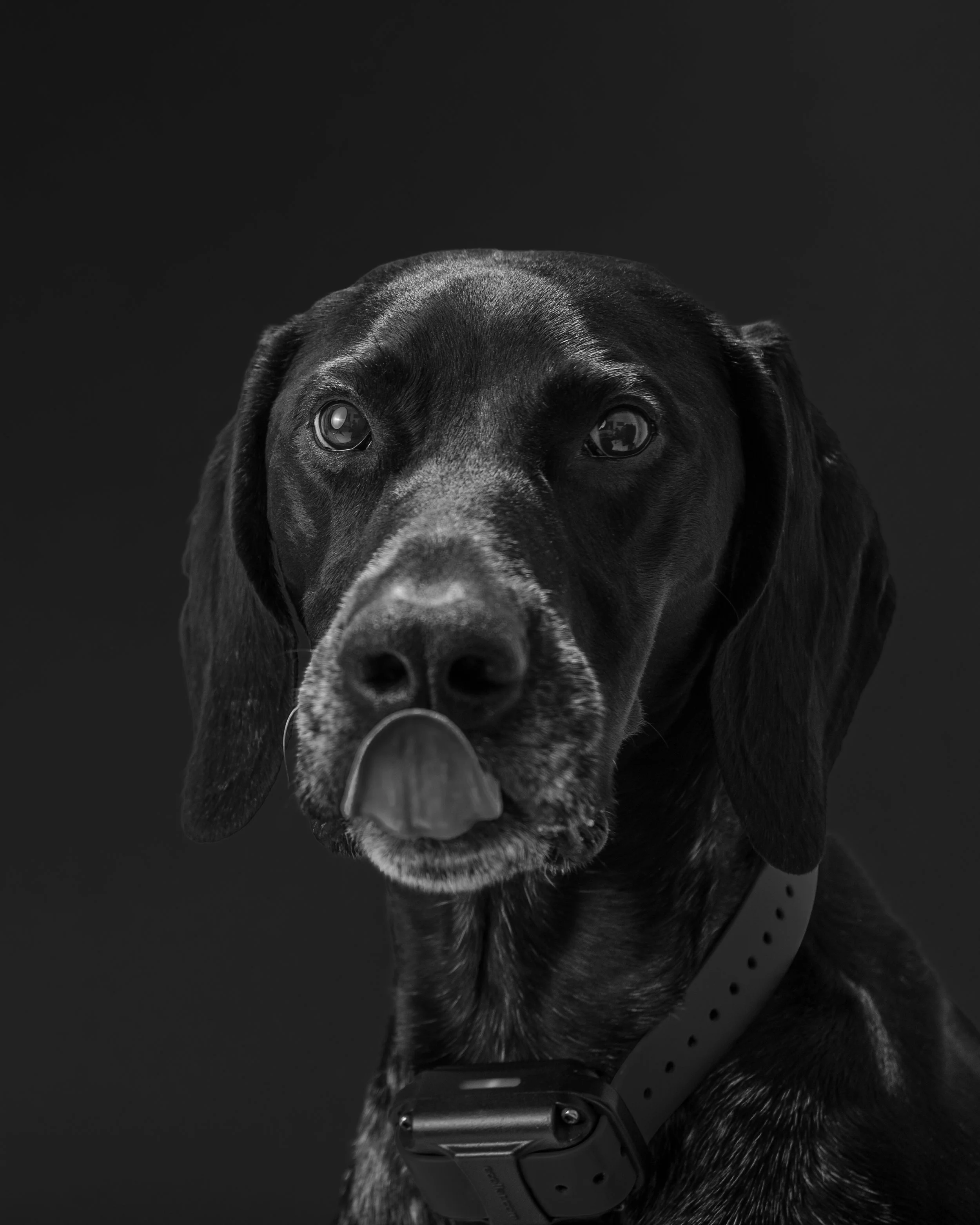 HenryPortrait.jpg