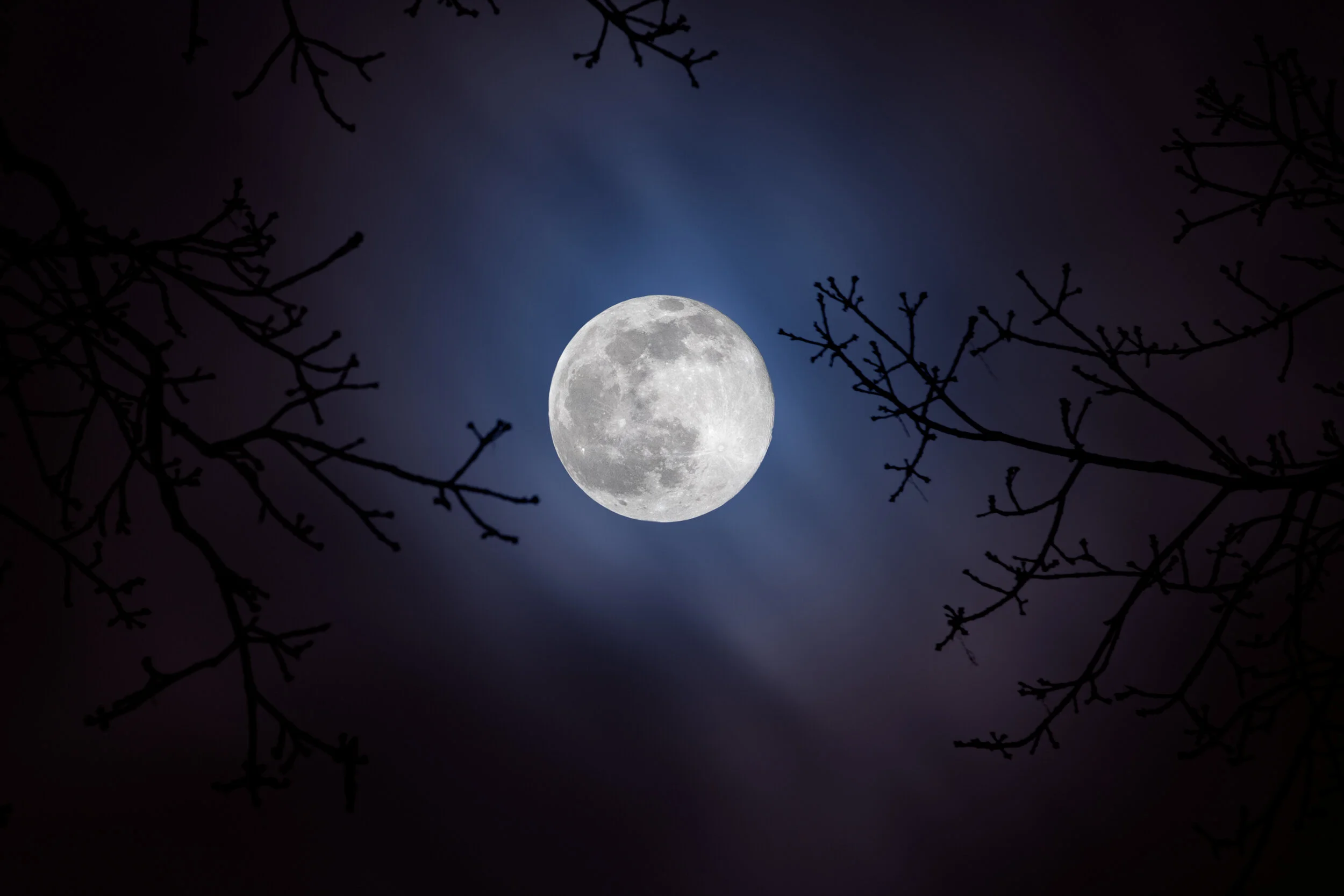 DSC_2397-Edit.jpg
