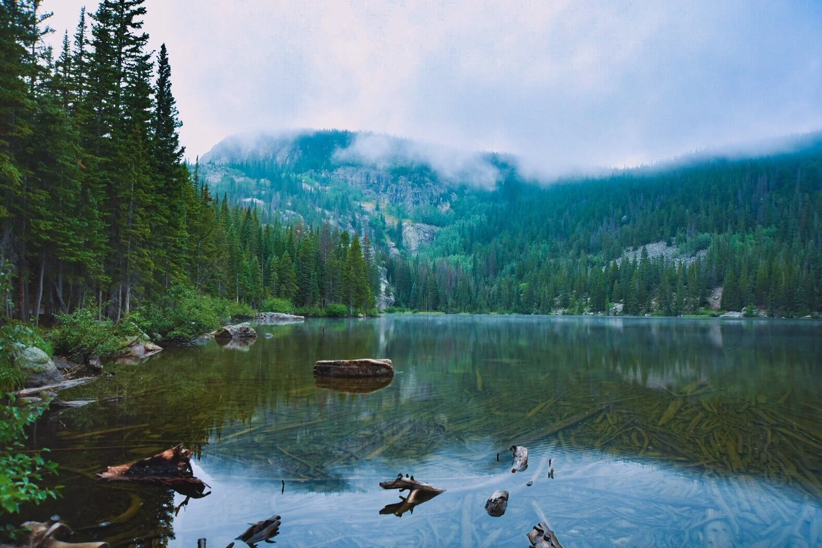 Bear Lake - Emma Albert