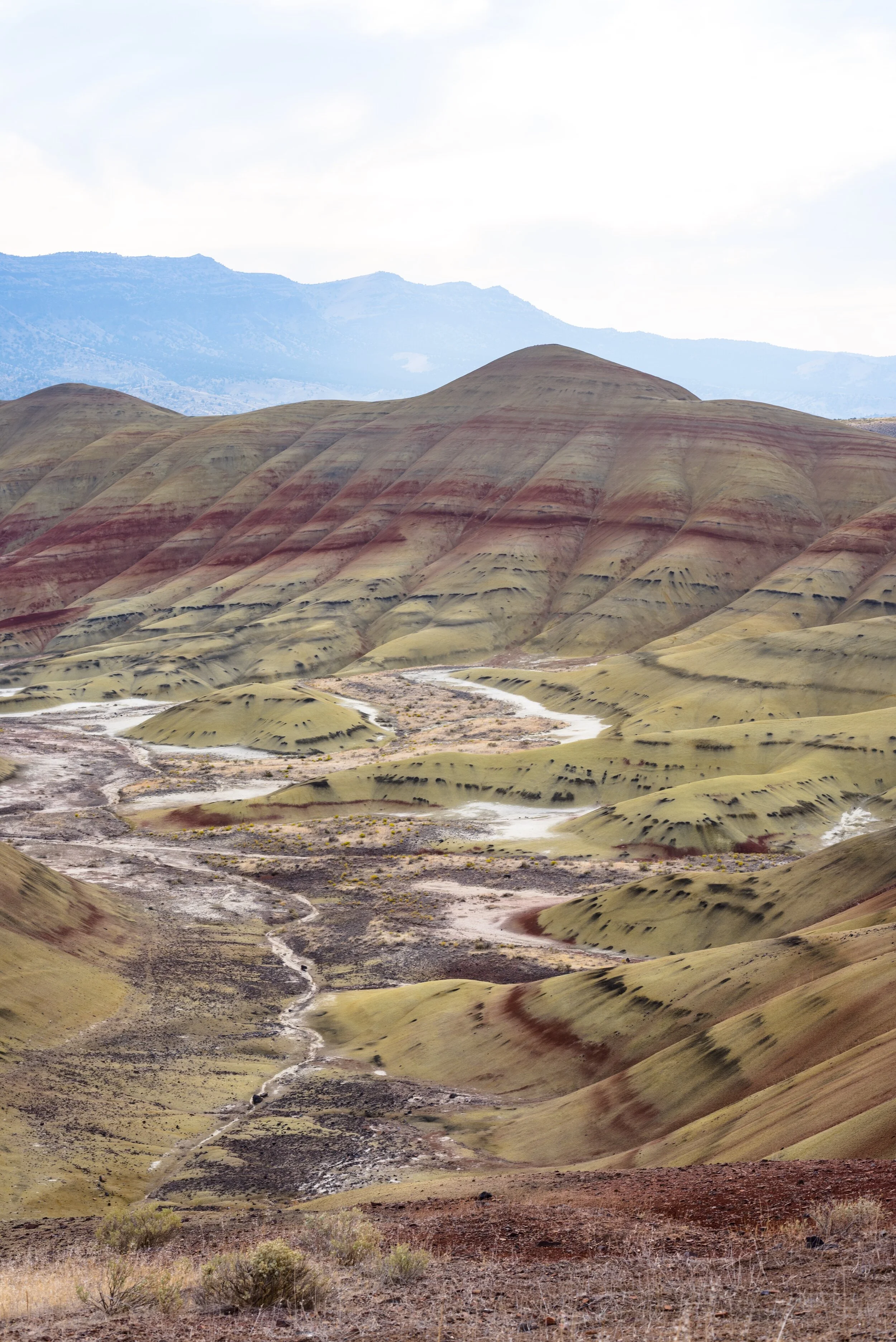 Painted Path - Emma Albert