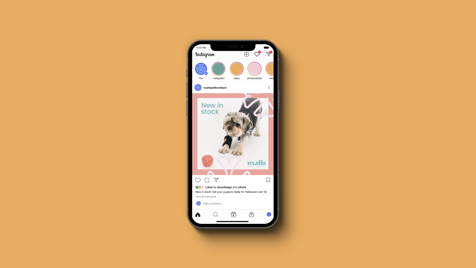 Oxalis Pet Boutique — Logo design