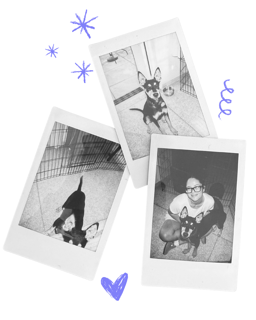 Set of three polaroid pictures of Valeria and her dog, Leo, surrounded by three doogles: three stars, a heart and a squiggly line.