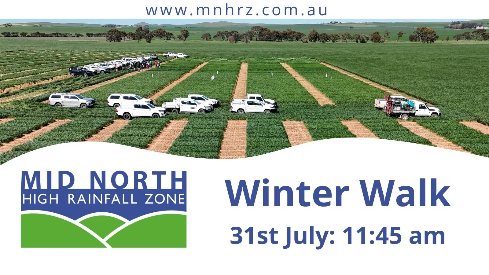 Winter Walk: Friday, July 31st