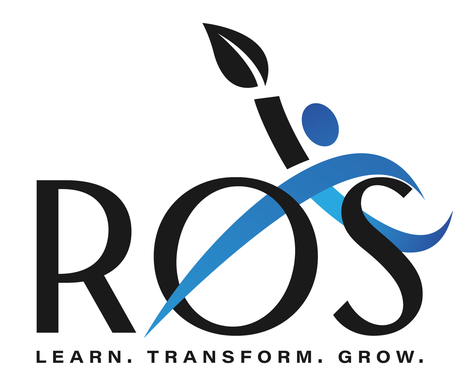  ROS Professional Partners LLC