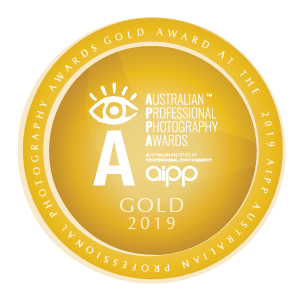 AIPP+Awards+Badge+2019+(29)+G+(002).png