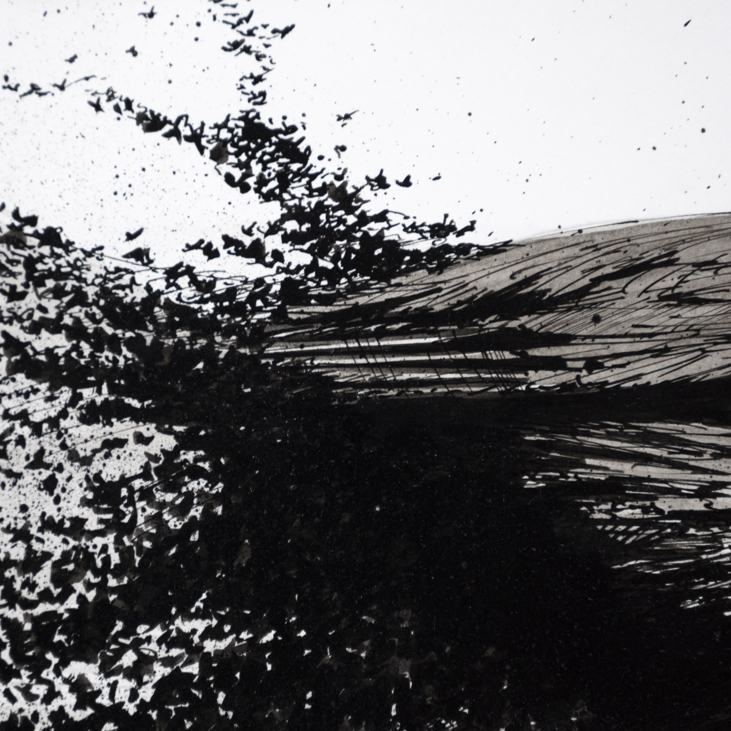 murmuration_detail_02.jpg