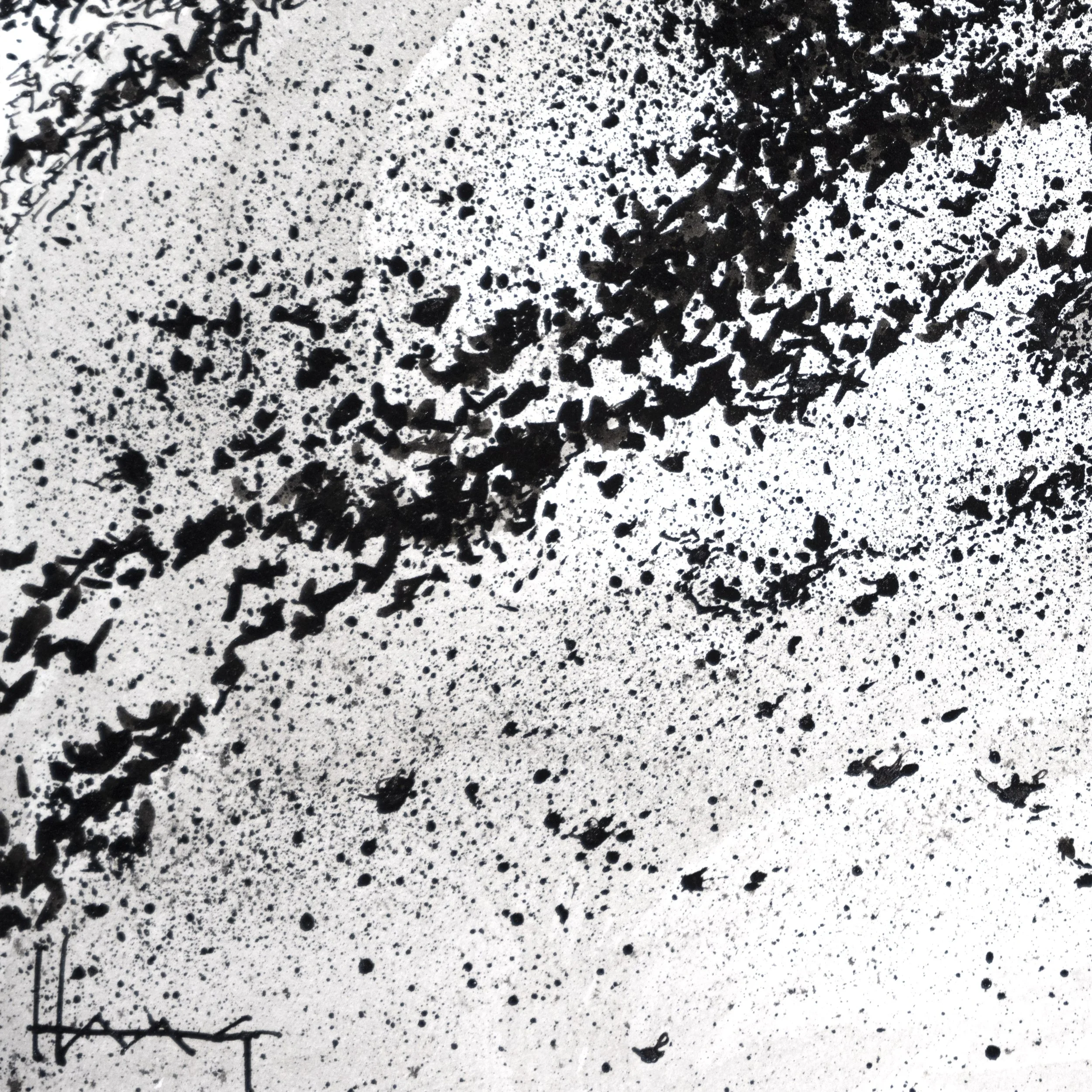 murmuration_detail_03.jpg