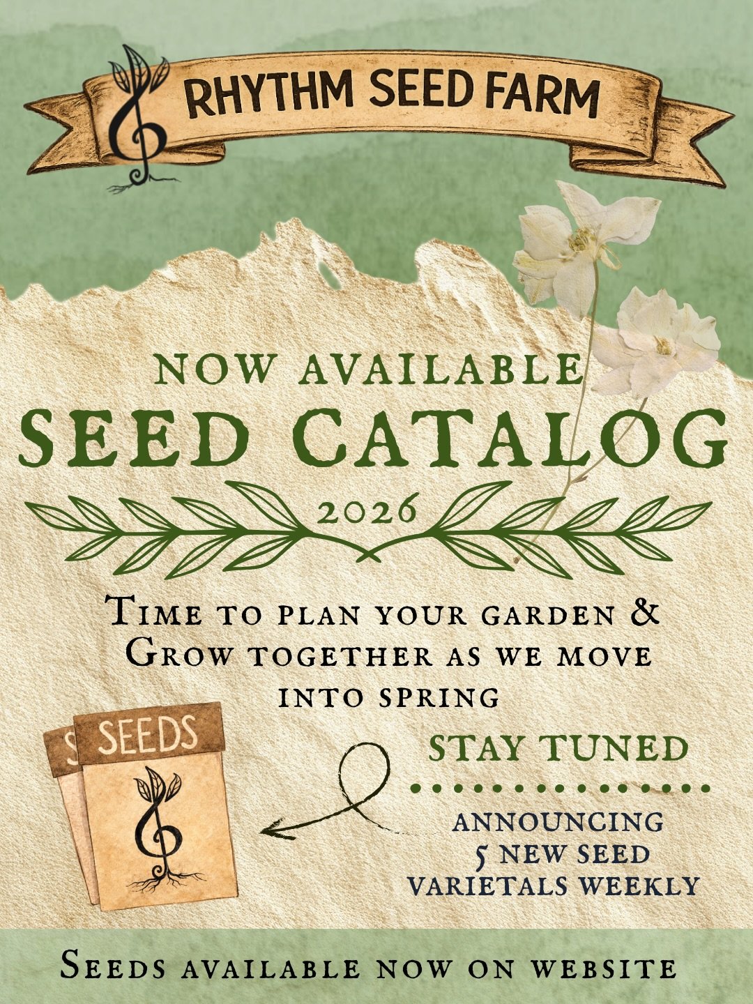 🌱✨ Our 2026 Seed Catalog is LIVE! ✨🌱

This year we&rsquo;re doing things a little differently&hellip;

We&rsquo;re dropping 5 NEW limited-edition varieties each week, all carefully selected with you in mind.

Allow us to introduce the first 5 varie