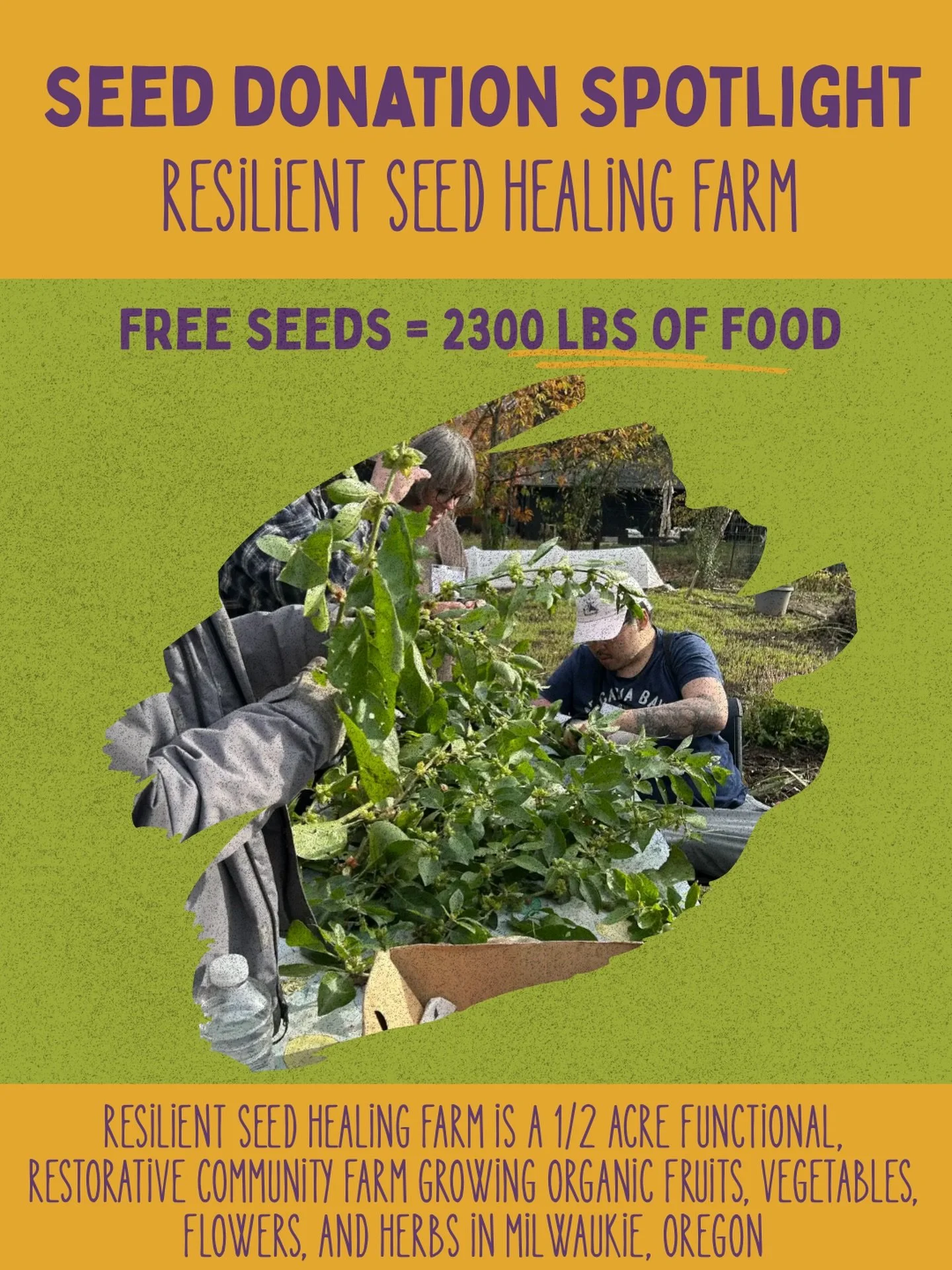 🌱💛 Seed Donation Season Is Here 💛

This is one of our favorite times of year. As seed season ramps up, so does our giving.

This year, we&rsquo;re donating seeds to 25+ local organizations doing vital work in food access, community care, and socia