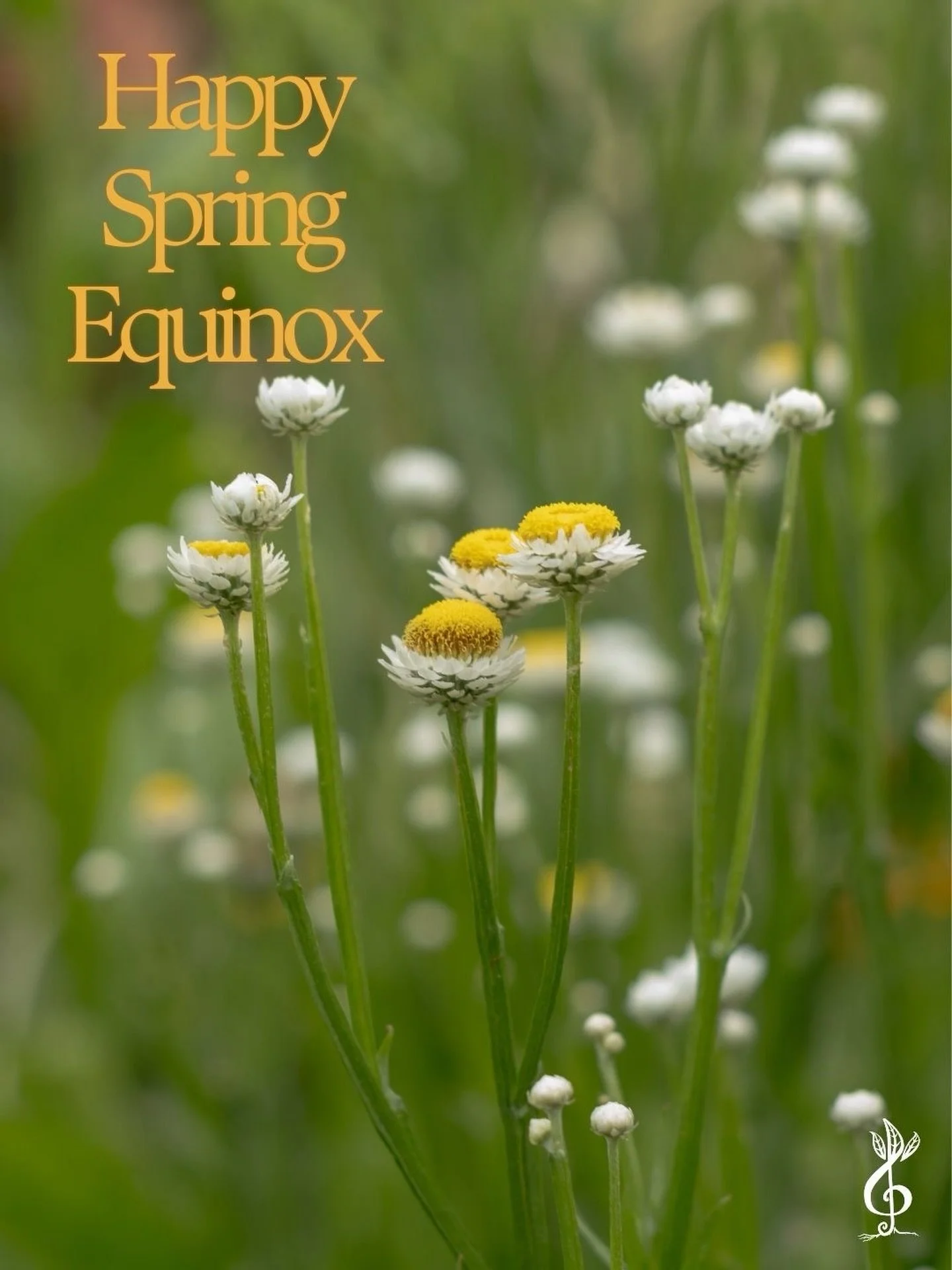 What a joyful day for us all 🌱

The Spring Equinox is here: a time to honor the return of light, the emergence of new life, and to plant seeds of abundance and hope for the future. It also marks our 4th birthday, what an amazing journey!

We are so 