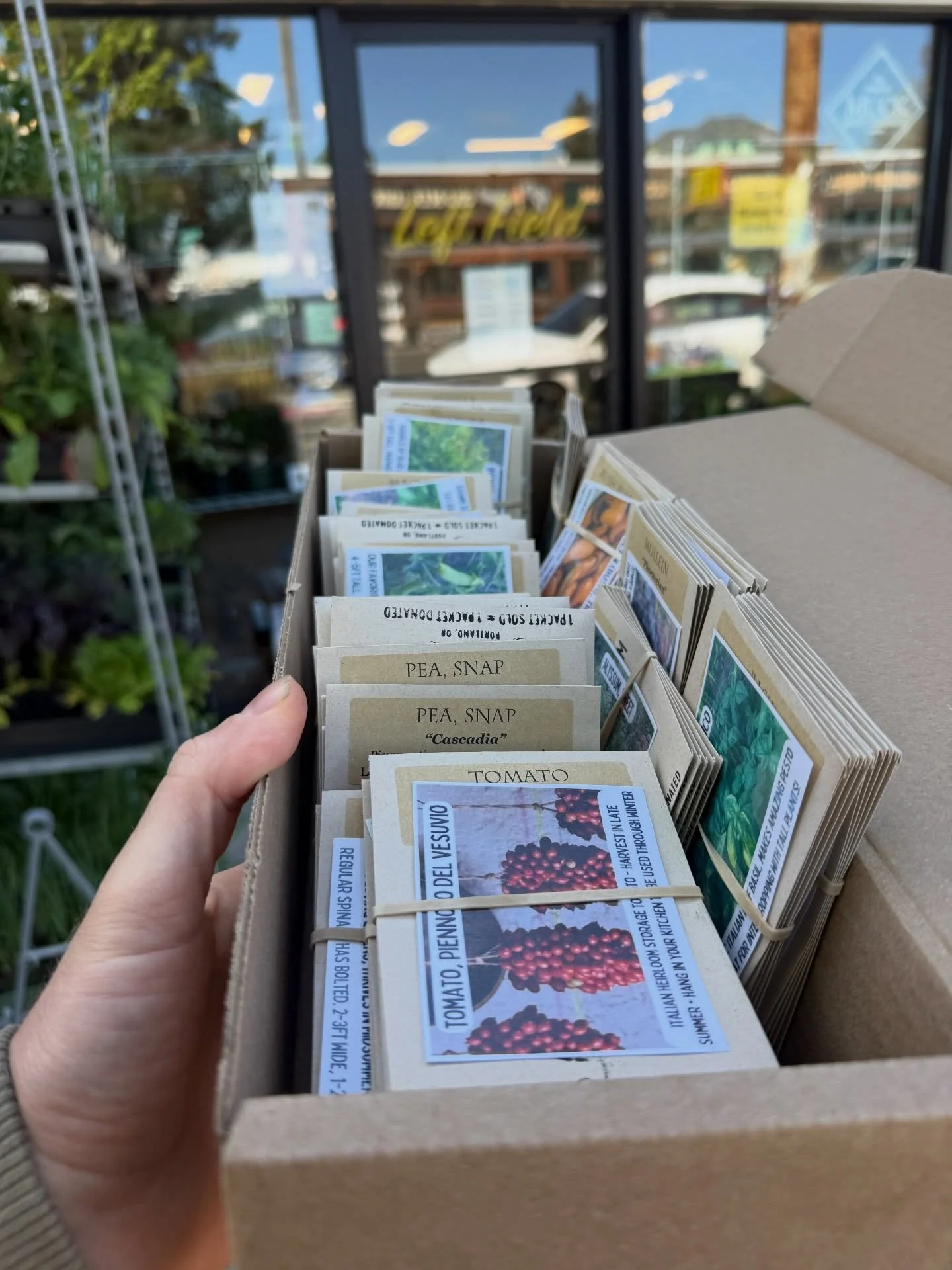 We&rsquo;re delivering seeds to wholesale partners across the city!

Find our seeds at Left Field Garden Supply, Garden Fever, and SymbiOp, with more locations coming soon, including Kindred, Cornell Farm Hardgoods, and Olympia Food Co-op.

All of ou