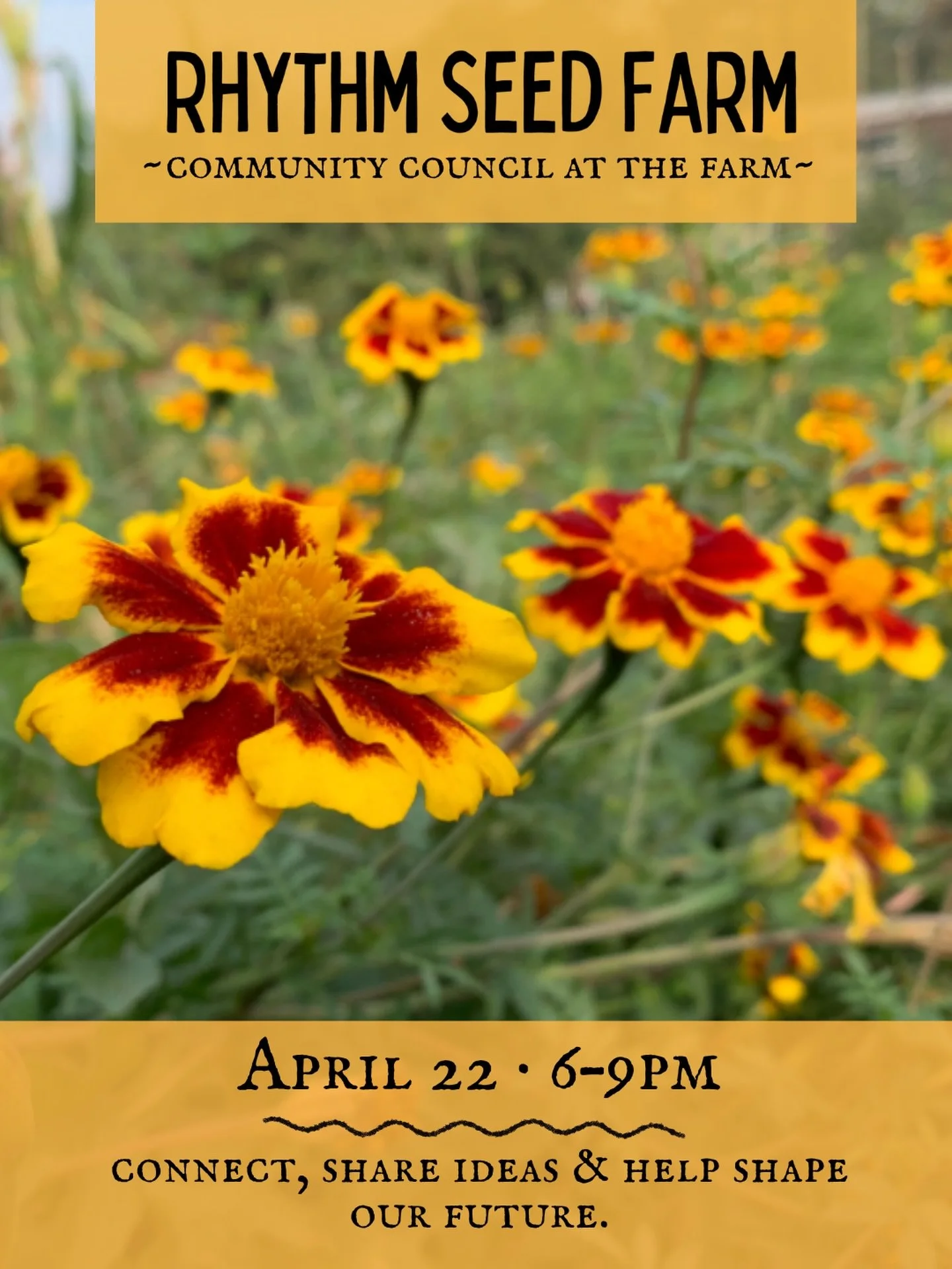 Join us at the farm for an in-person Community Council at Rhythm Seed Farm 🌻

April 22 &middot; 6:00&ndash;9:00pm

We are stoked for such a glorious spring so far and we&rsquo;re gathering in community to reflect, connect, and dream forward together