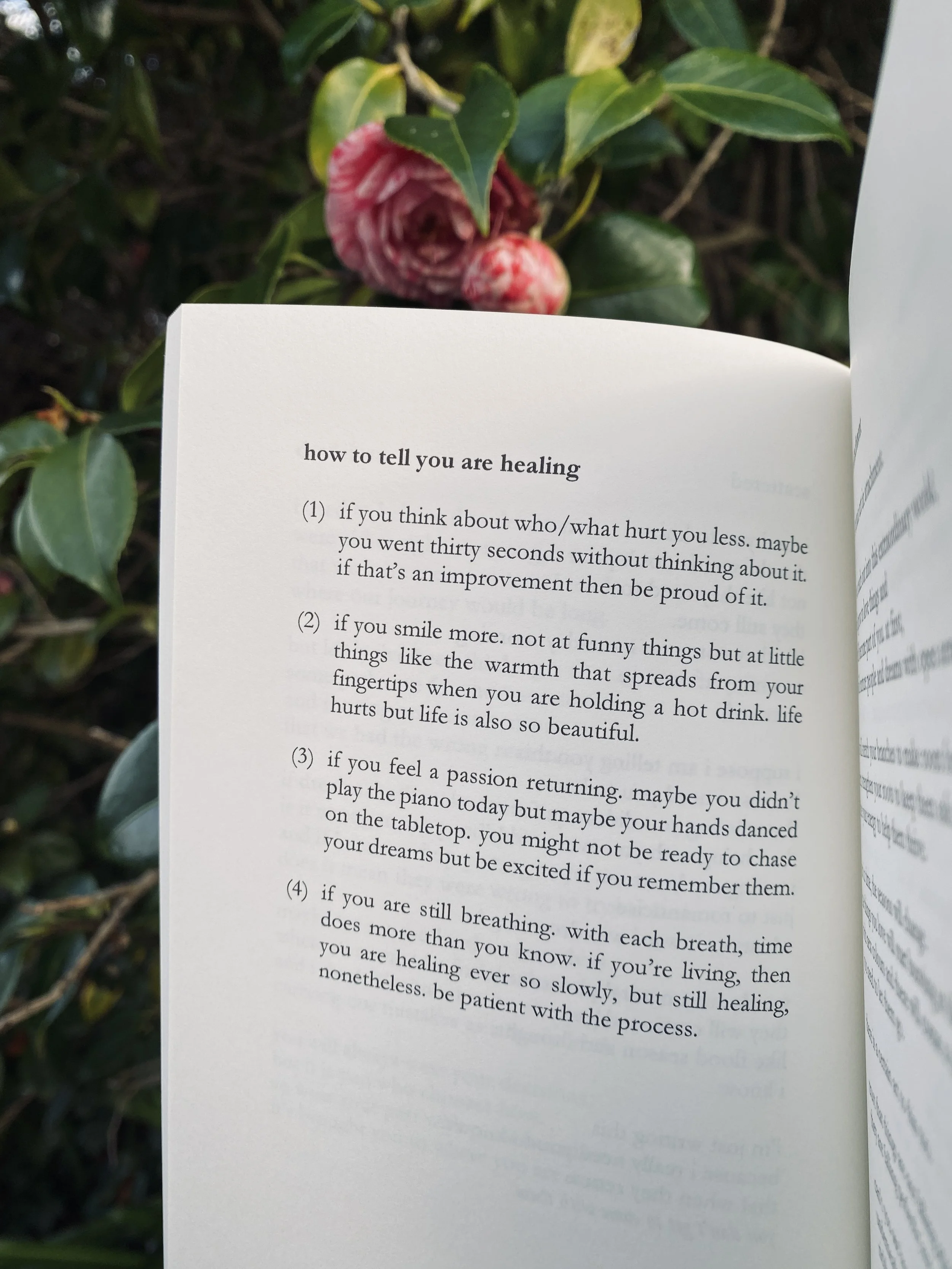 how to tell you are healing poem