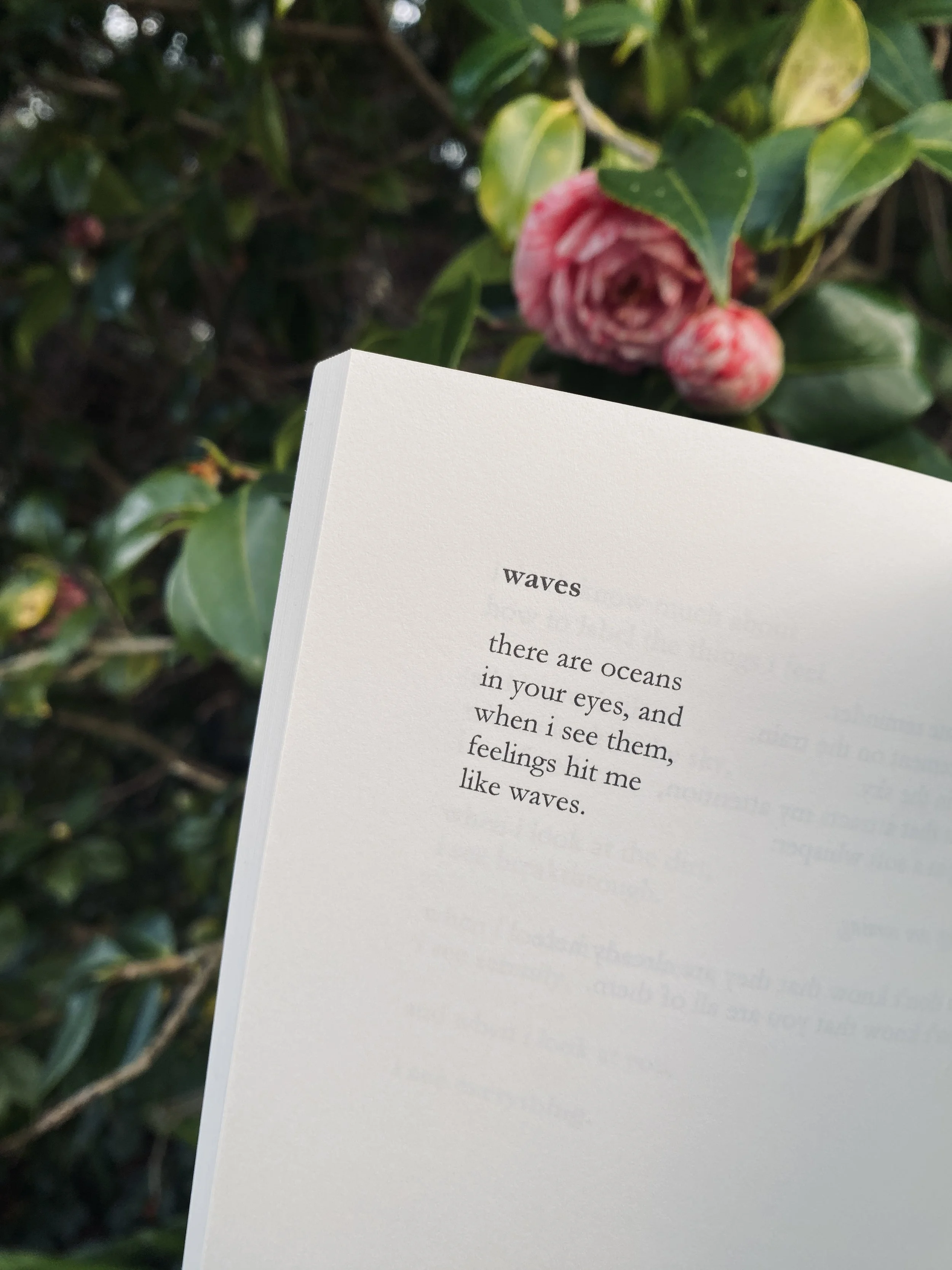 waves poem from fleeting things