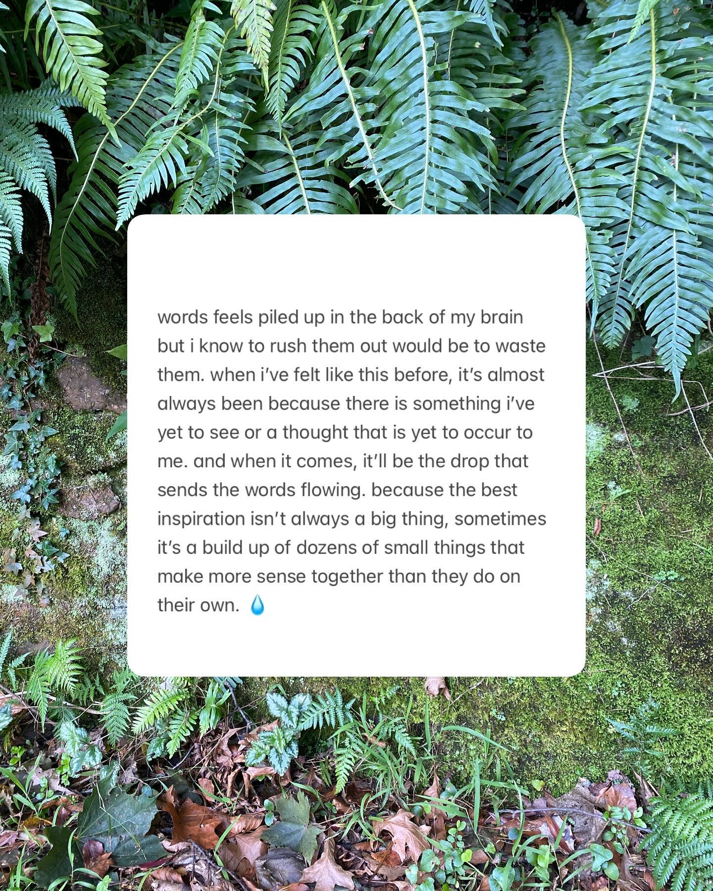 my camera roll this week is 90% leaves and 10% pizza and i&rsquo;m quite happy about it. 🍁
i promise new poetry is coming soon. just as soon as i write it. 🙈 in the meantime, here&rsquo;s something i wrote about not writing haha, let me know if you