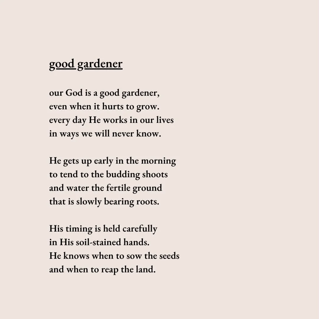 our God is a good gardener (even when it hurts)🪴. a poem from my second book, &lsquo;making whole&rsquo; 🤍