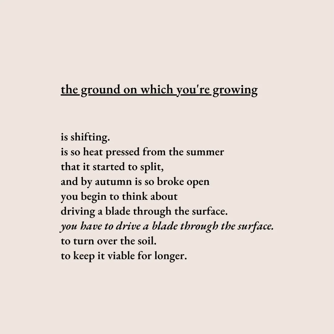 the ground on which you&rsquo;re growing 🤎. not to be confused with &lsquo;the garden that you&rsquo;re growing&rsquo; haha. 

this is the most honest poem my heart has to offer this autumn. do not be afraid 🍁