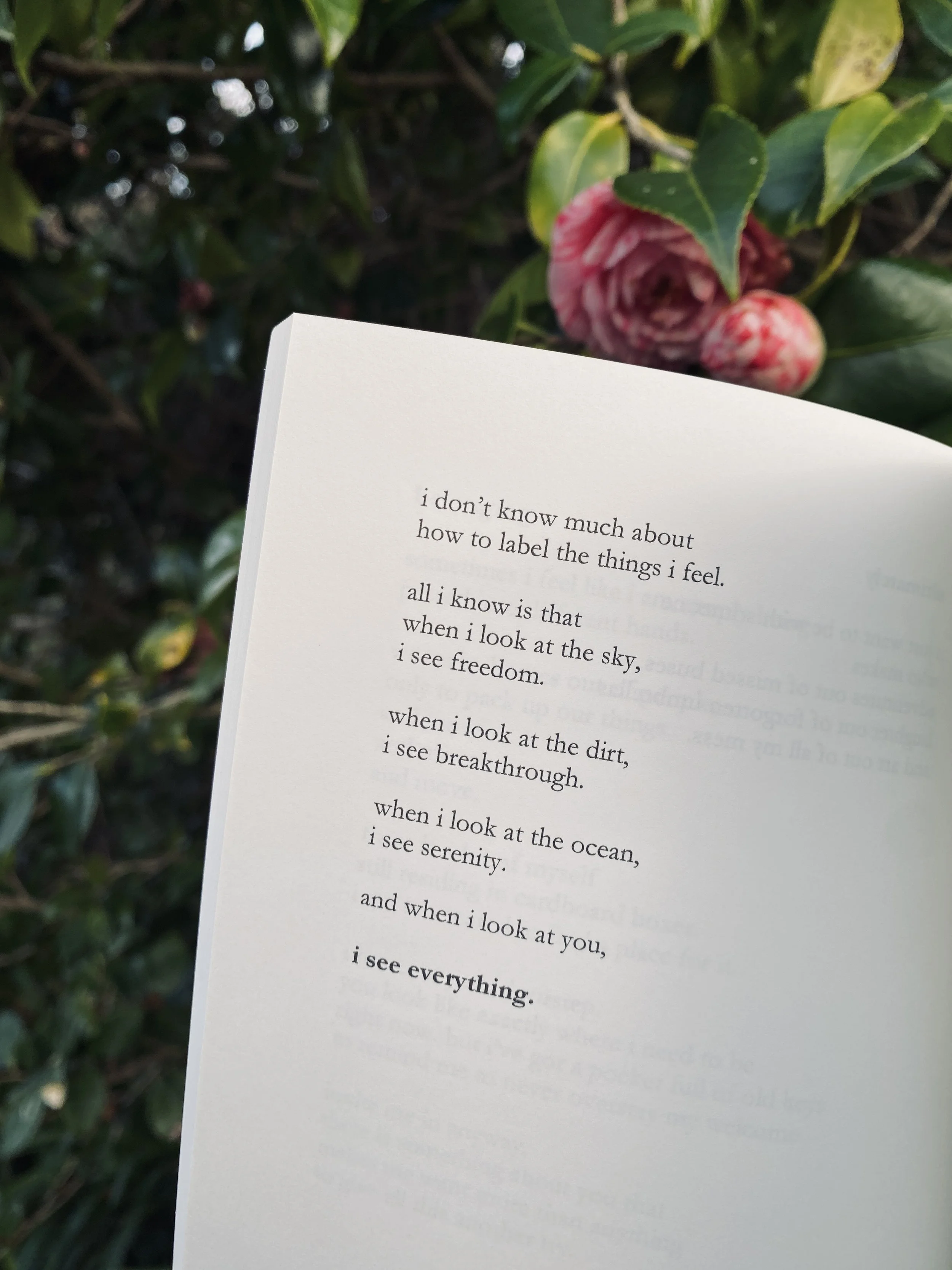 i see everything poem from fleeting things