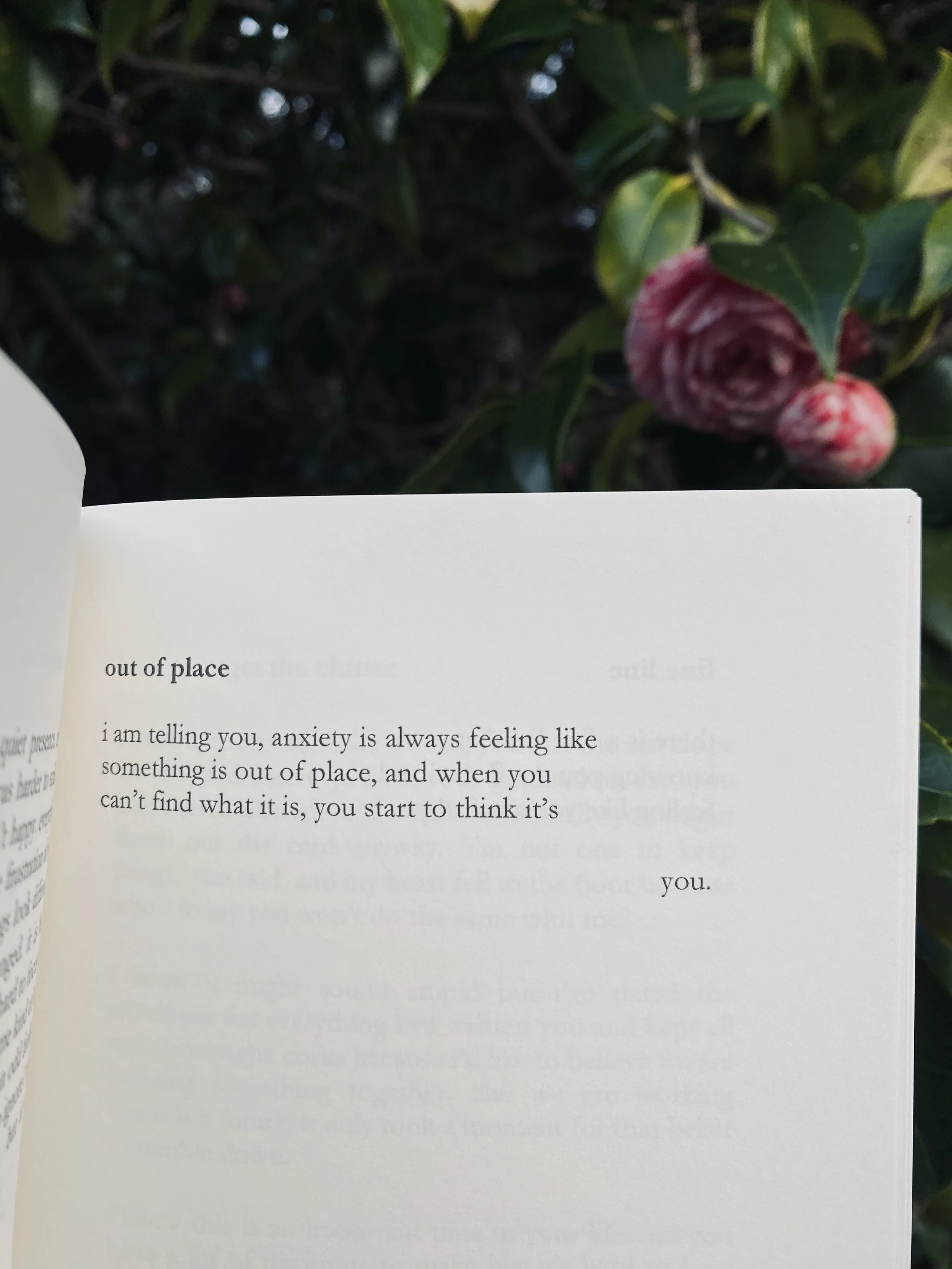 out of place poem from fleeting things