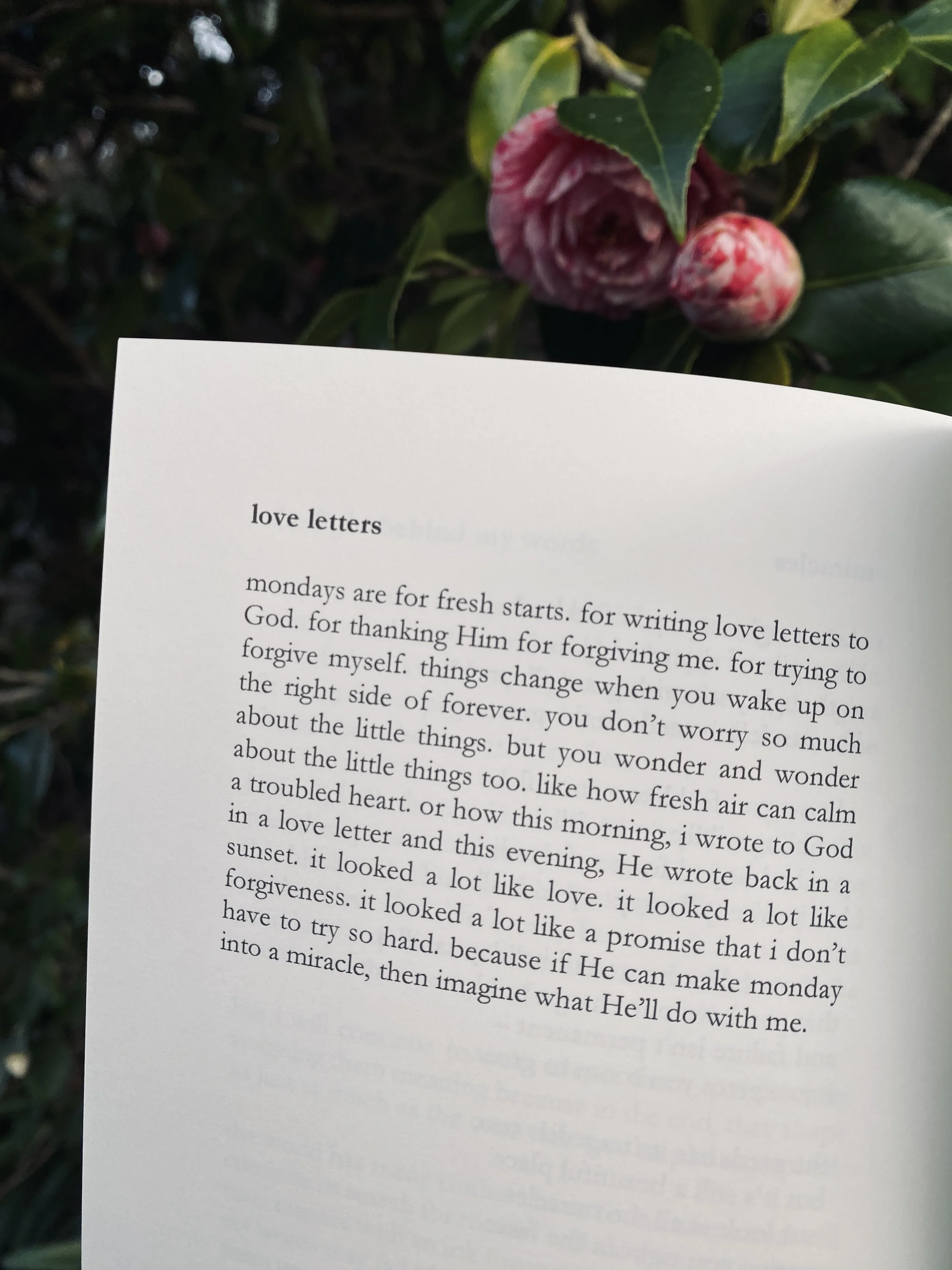 love letters poem from fleeting things