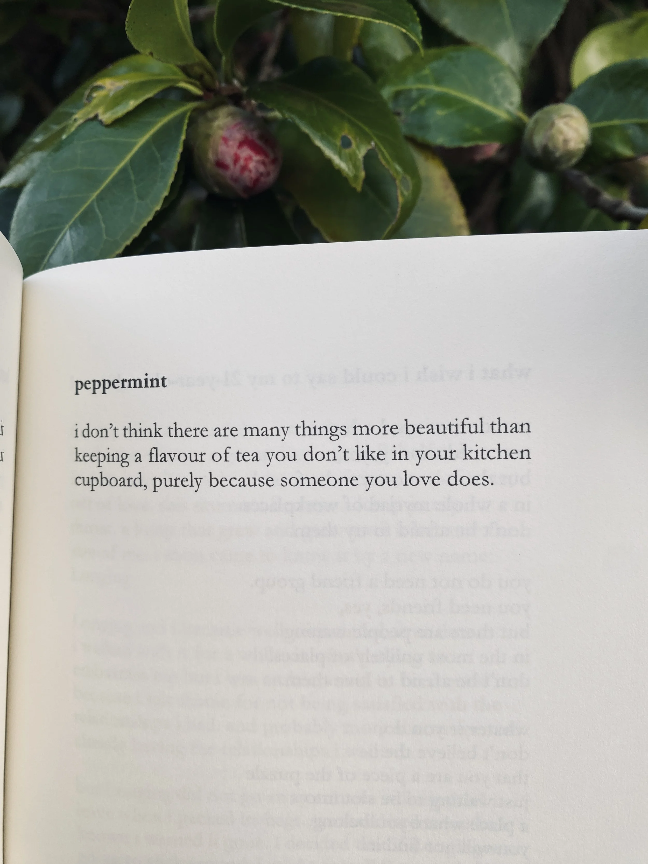 peppermint poem from the garden that you're growing
