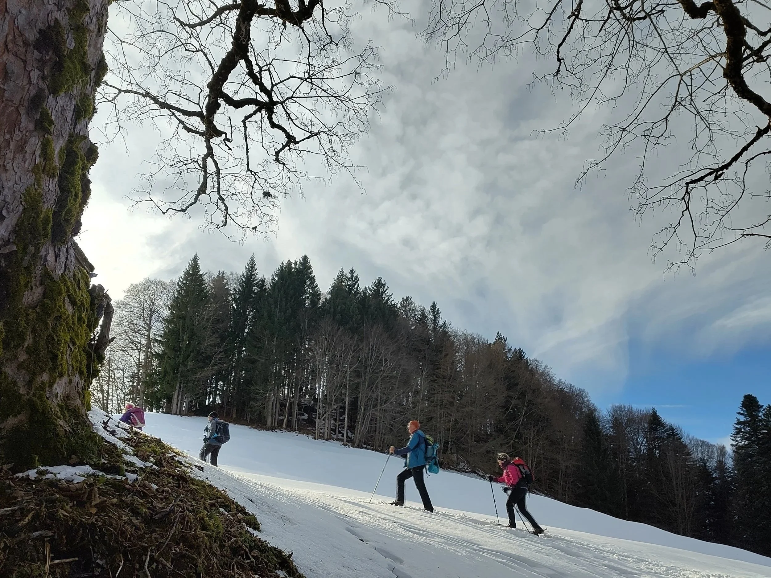 Seniorenschneeschuhtour von Grossdorf über Karetsberg nach Ittensberg: