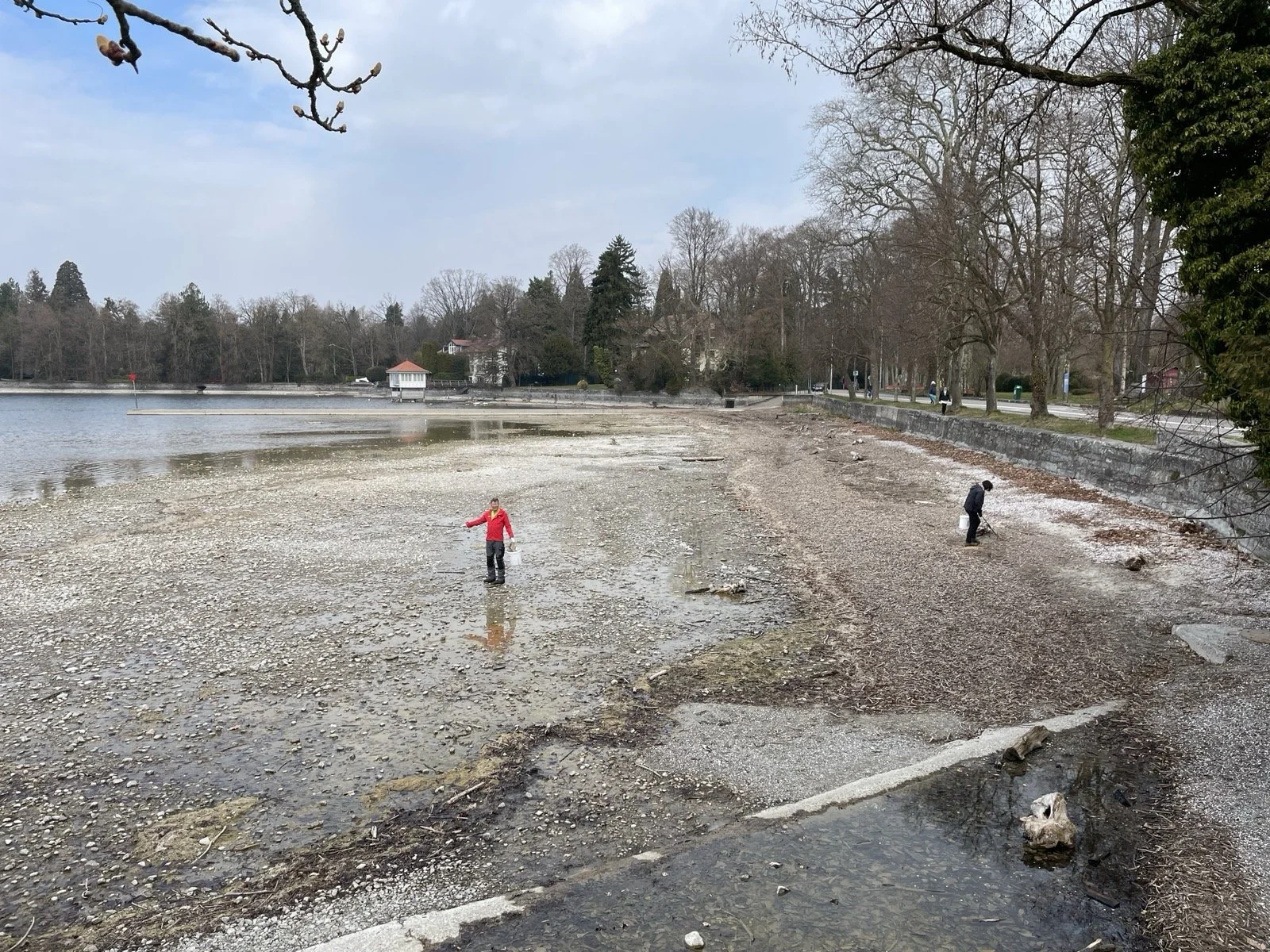 2026-03-21_Müllsammelaktion_Julia Struch_18-00-02-312-4.jpg