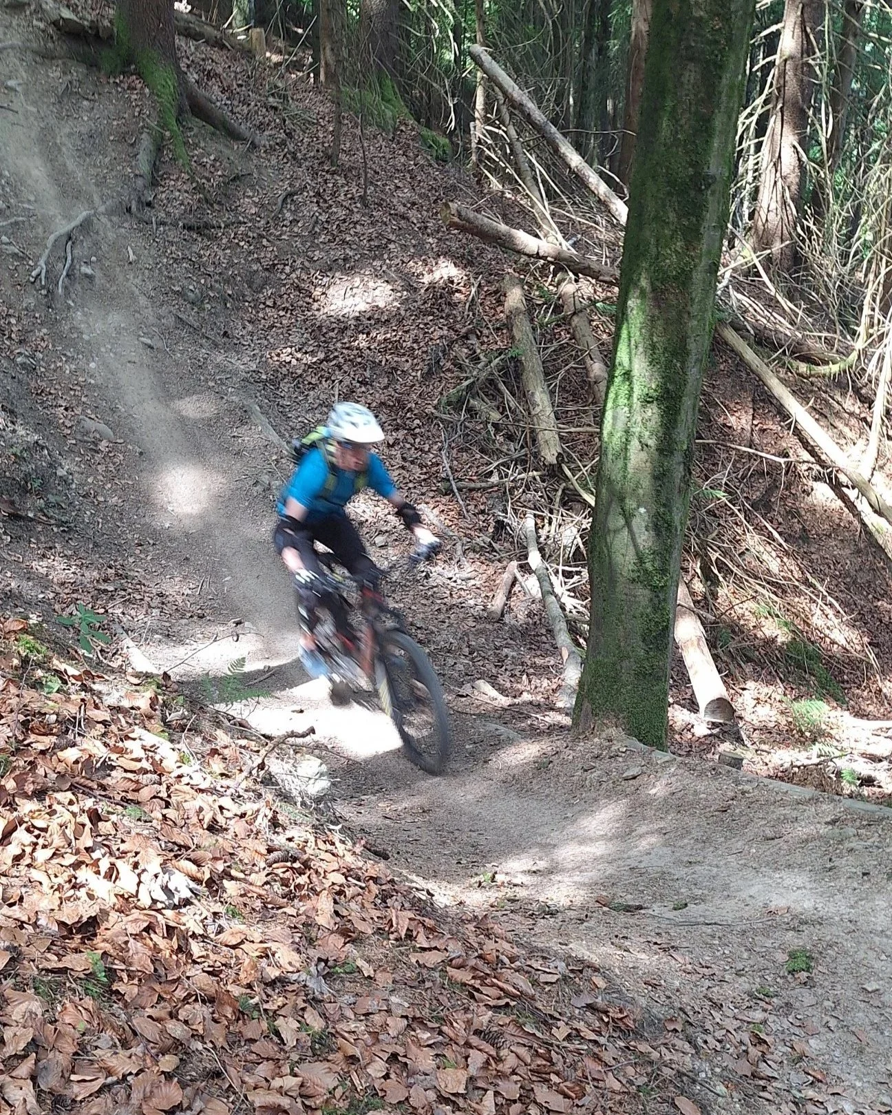 Mountainbike_Allgäutour_2026