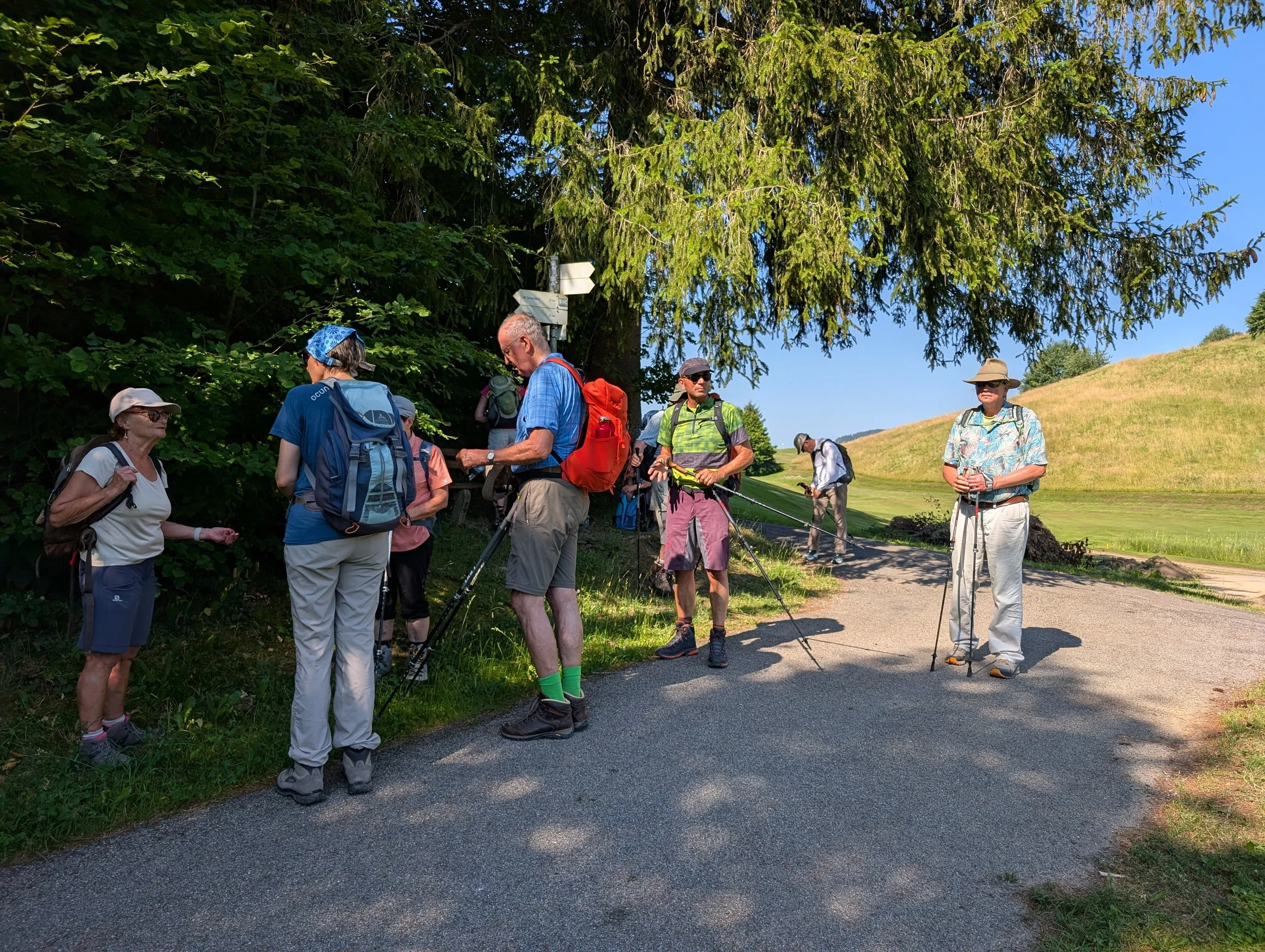06_Seniorenwanderung_Sommerwanderung zur Kalzhofener- und Salmaser Höhe