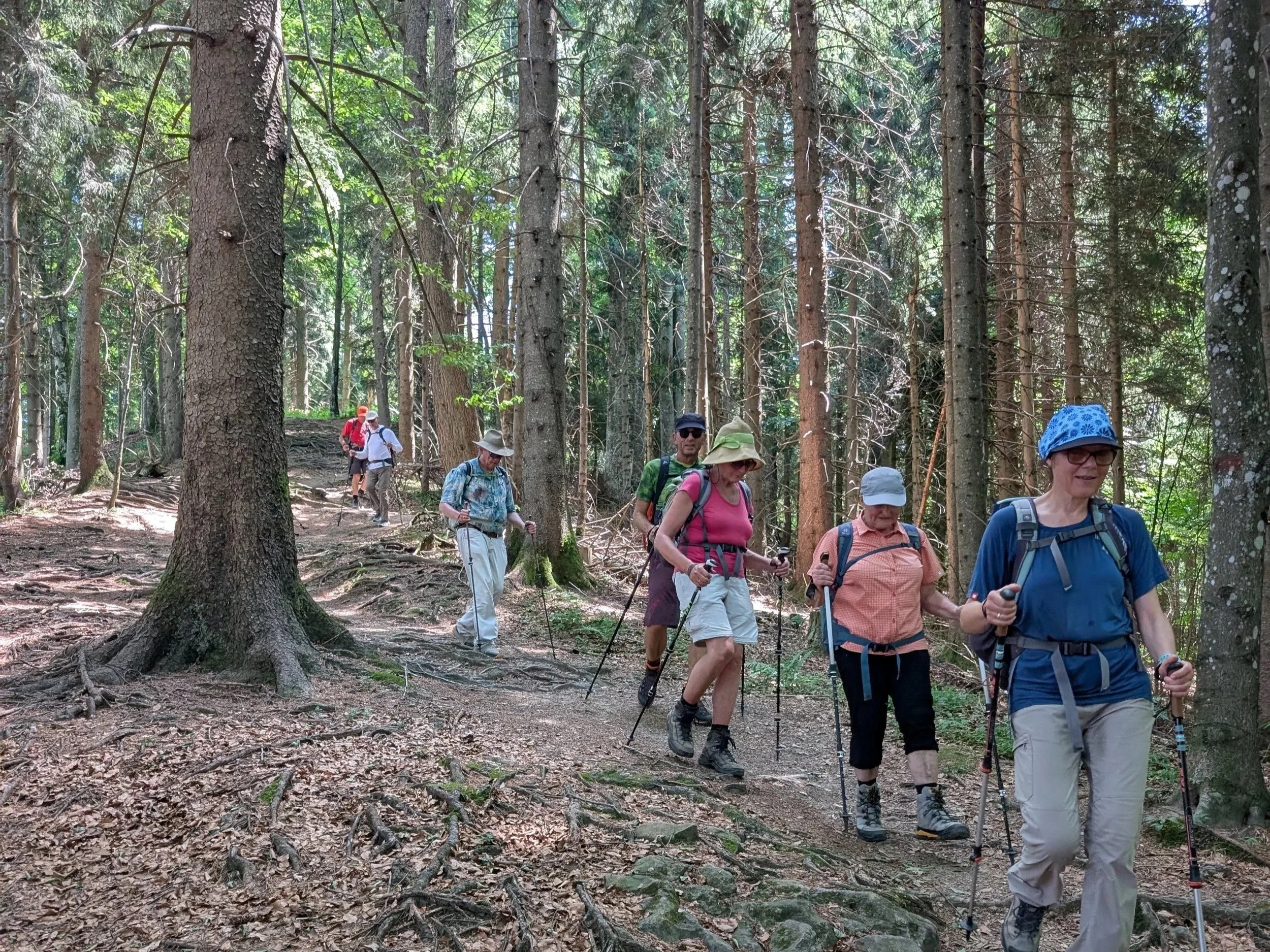 06_Seniorenwanderung_Sommerwanderung zur Kalzhofener- und Salmaser Höhe
