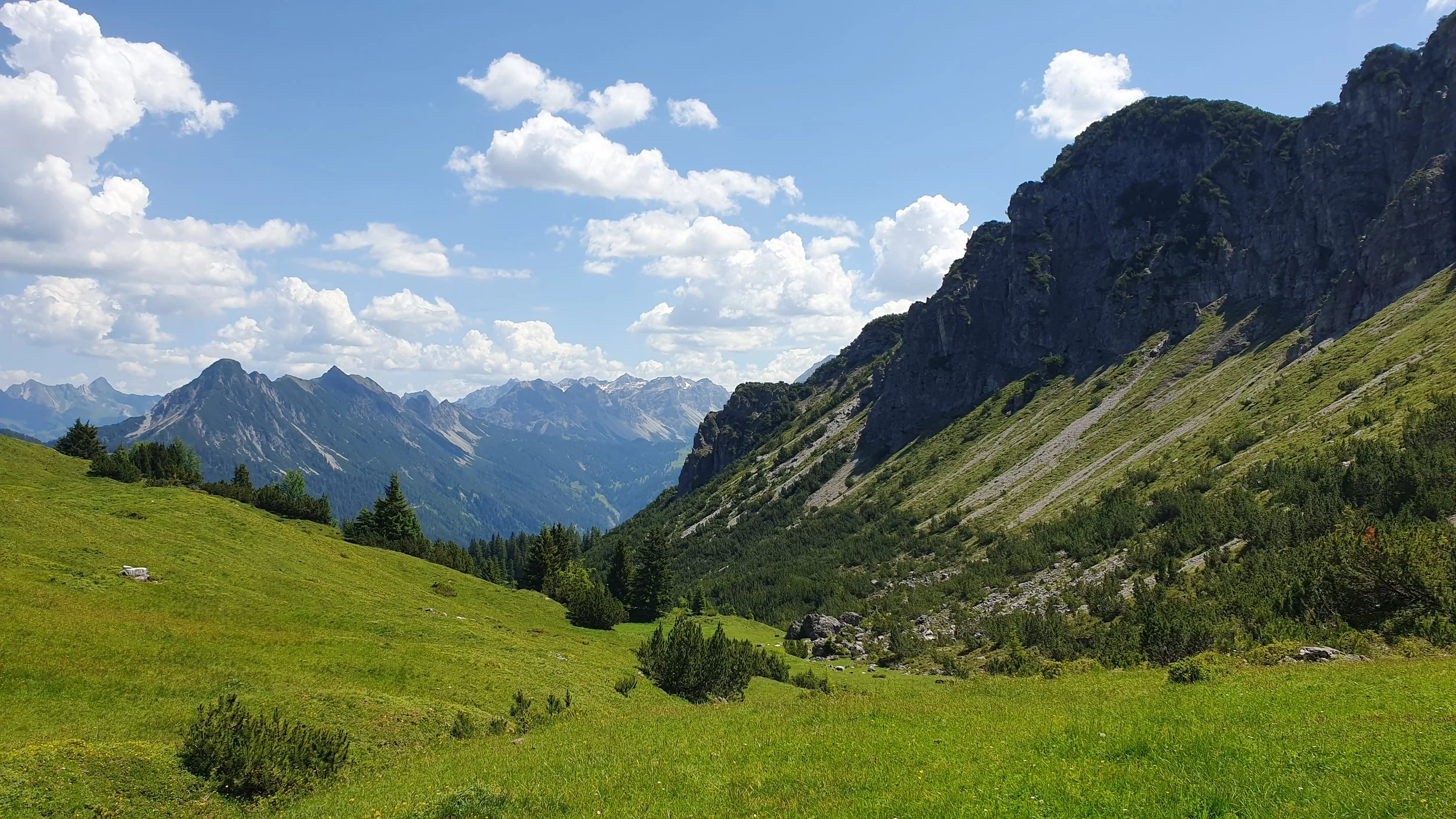 20260620_Hoher Fraßen