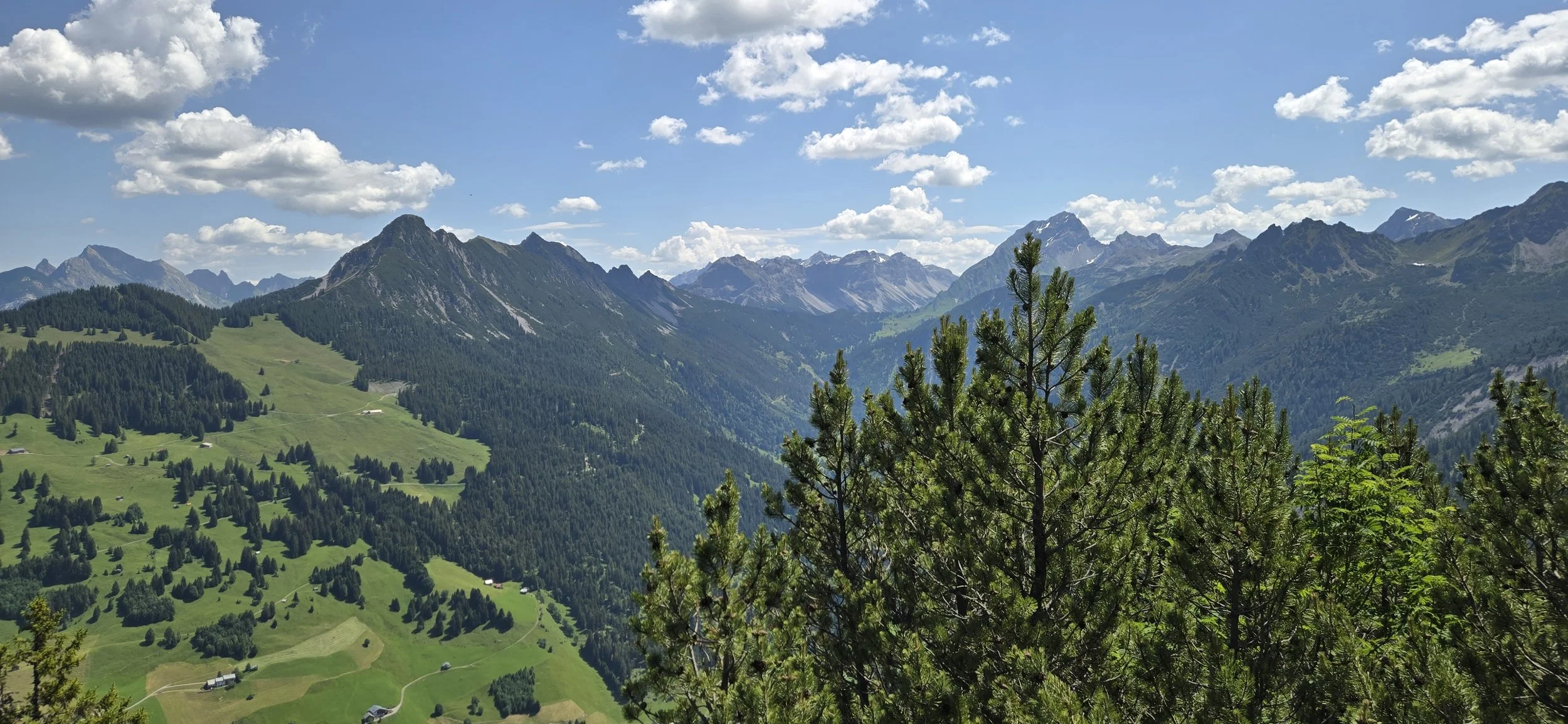 20260620_Hoher Fraßen