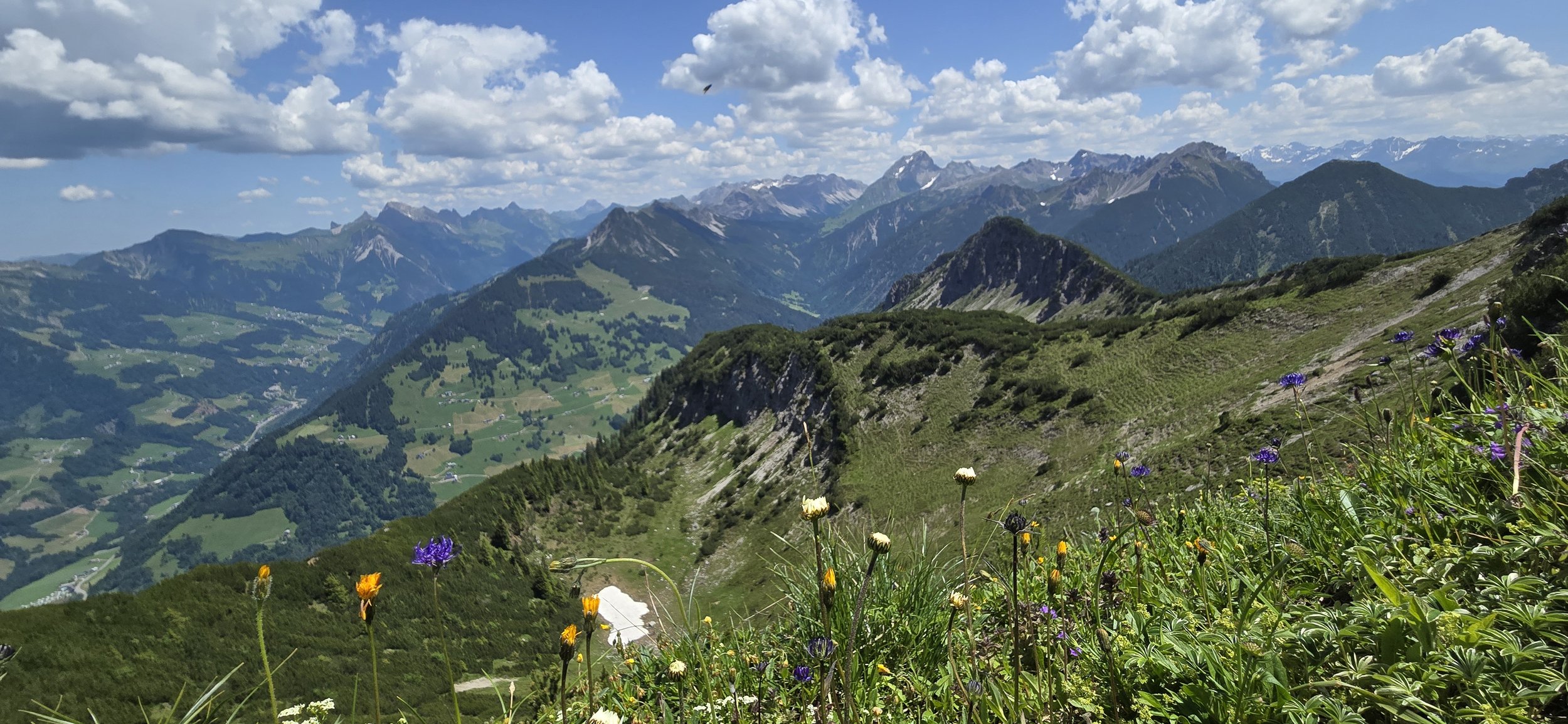 20260620_Hoher Fraßen