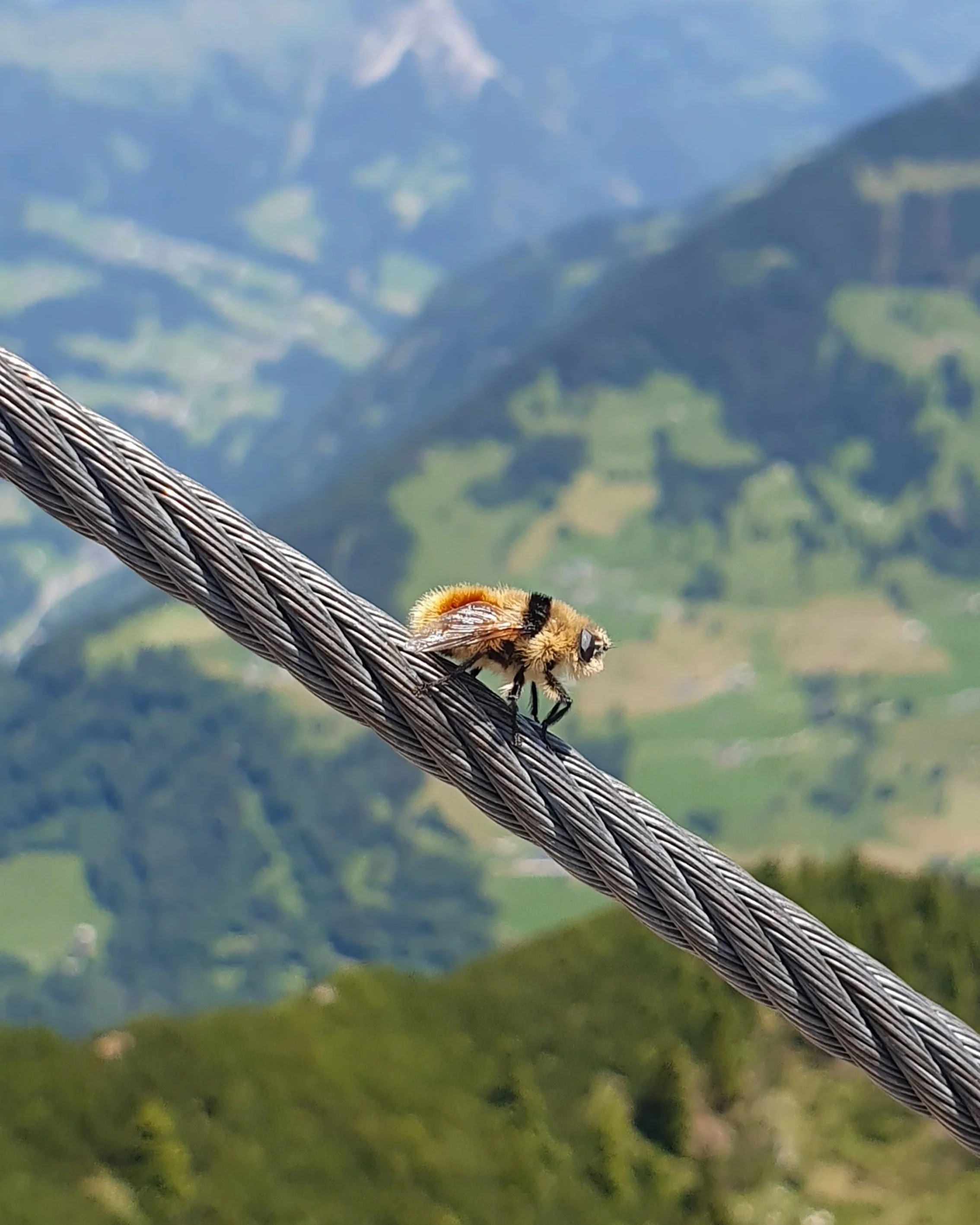 20260620_Hoher Fraßen