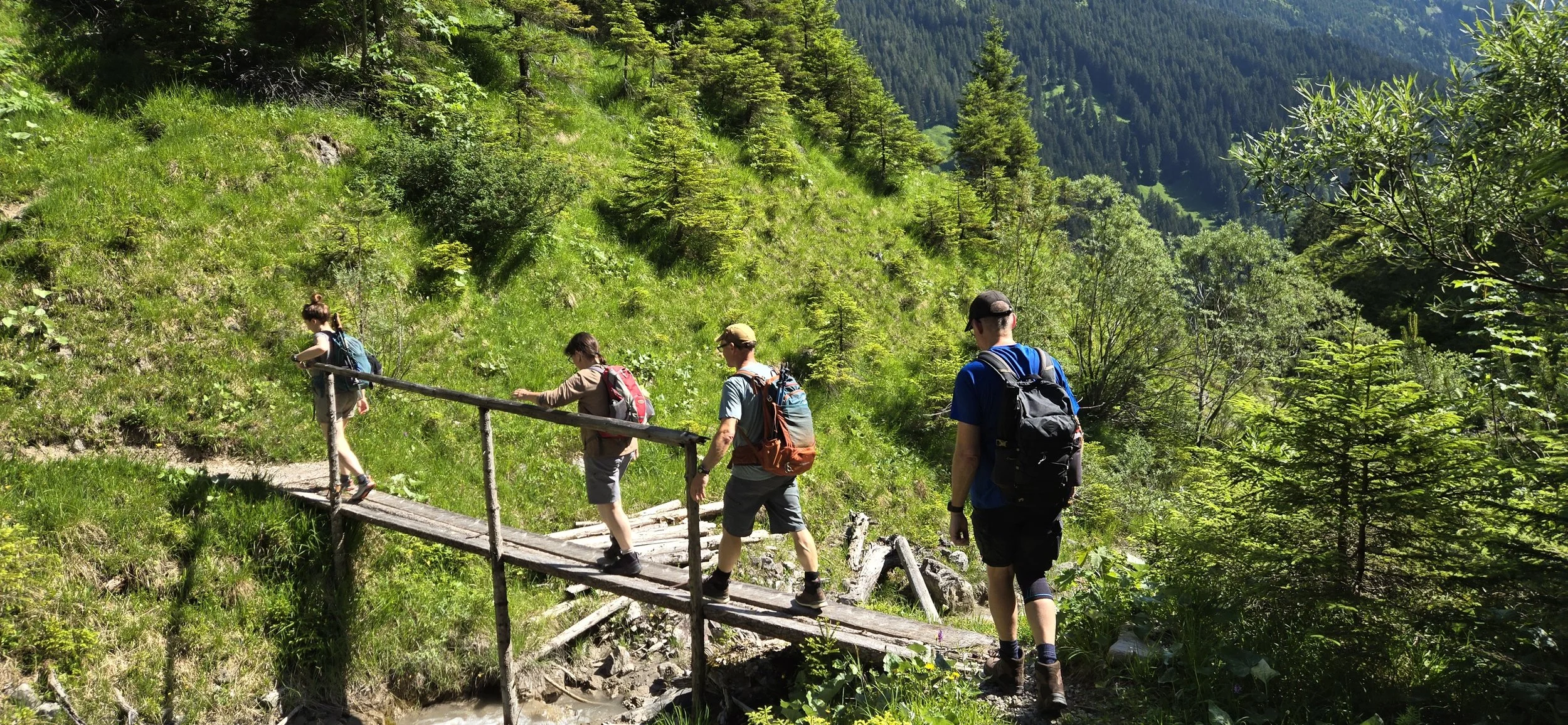 Winterstaude umgeplant = Hoher Fraßen
