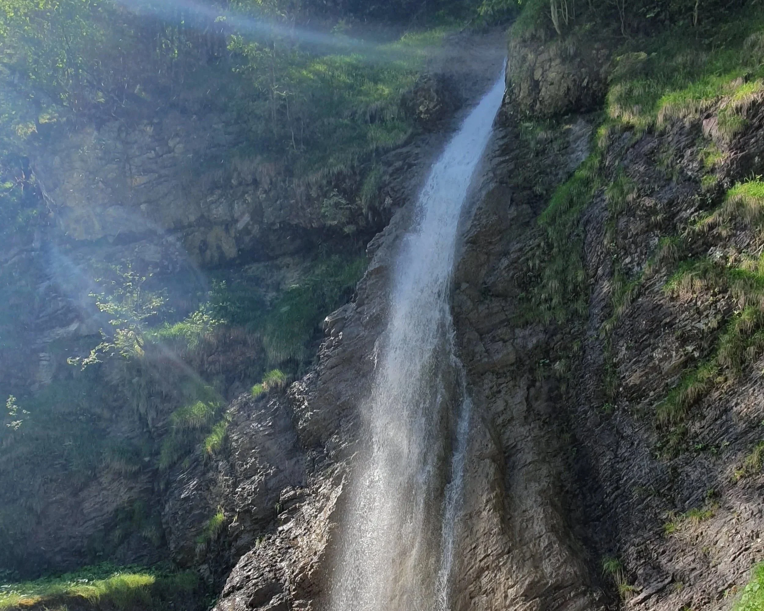 20260620_Hoher Fraßen