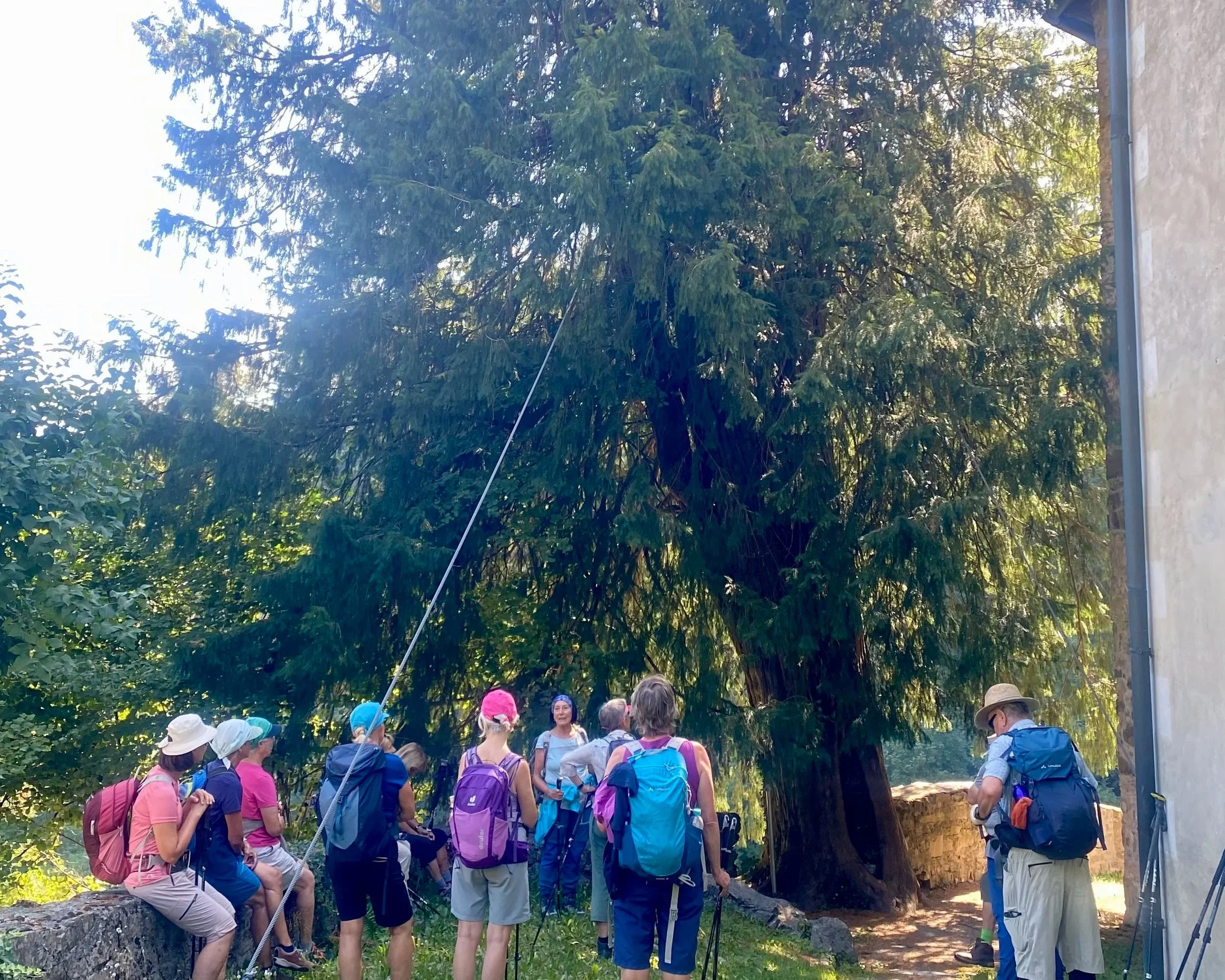 DAV_Seniorenwanderung Felsbandweg im Juli 2027