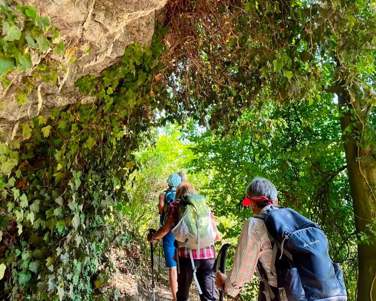 DAV_Seniorenwanderung Felsbandweg im Juli 2027