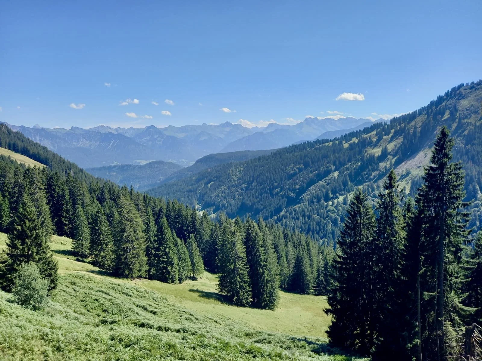 Seniorenwanderung_Ofterschwang 08-2026