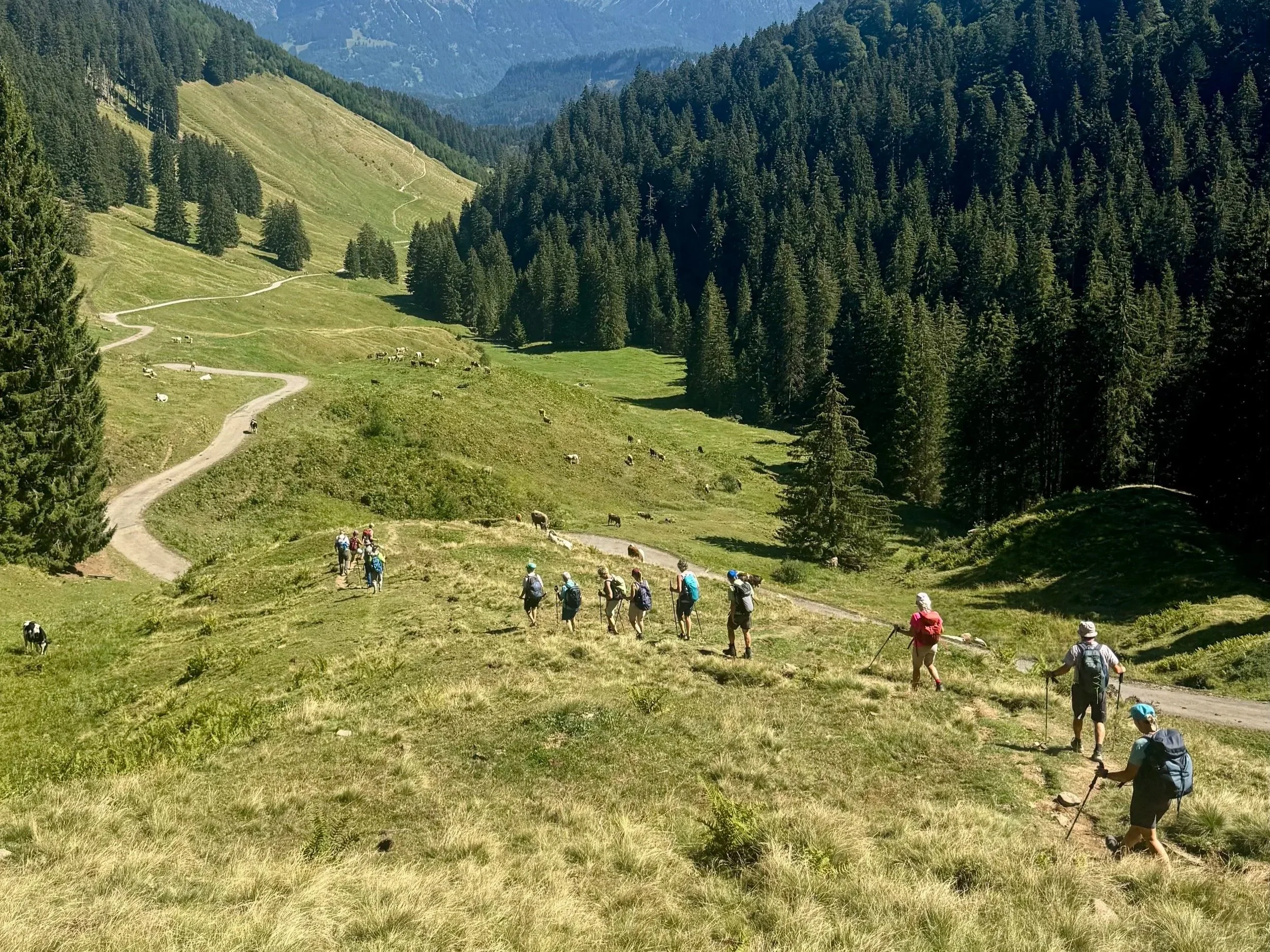 Seniorenwanderung_Ofterschwang 08-2026