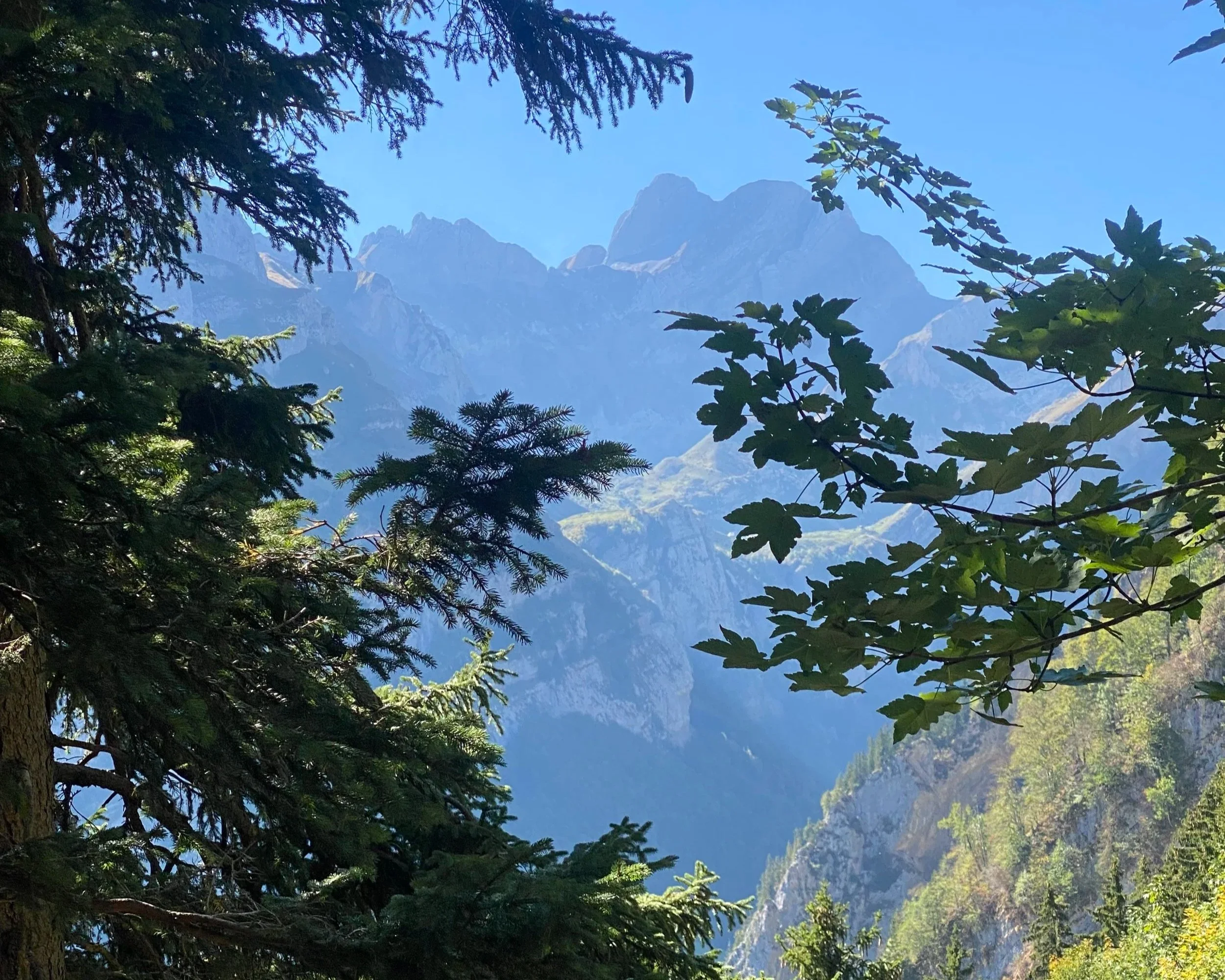 DAV Seniorenwanderung zum Aescher 2026