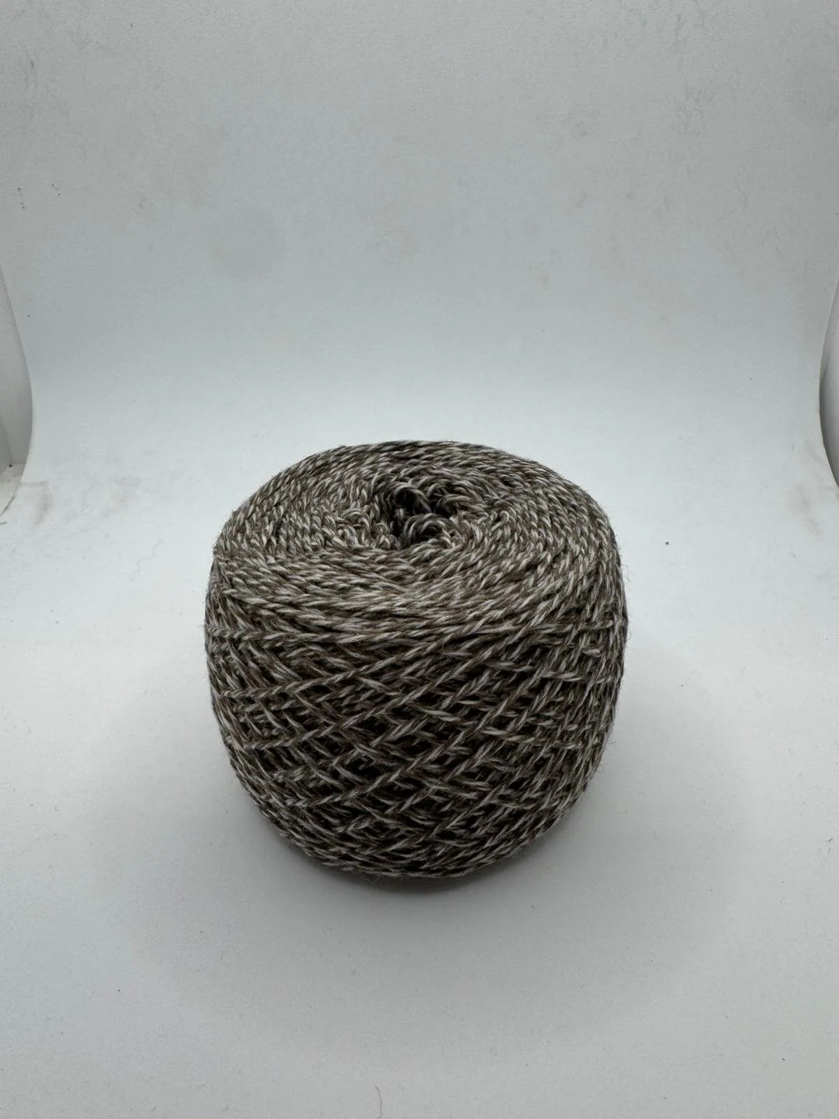 Immagine WhatsApp 2025-12-15 ore 10.48.49_5b2f5323.jpg