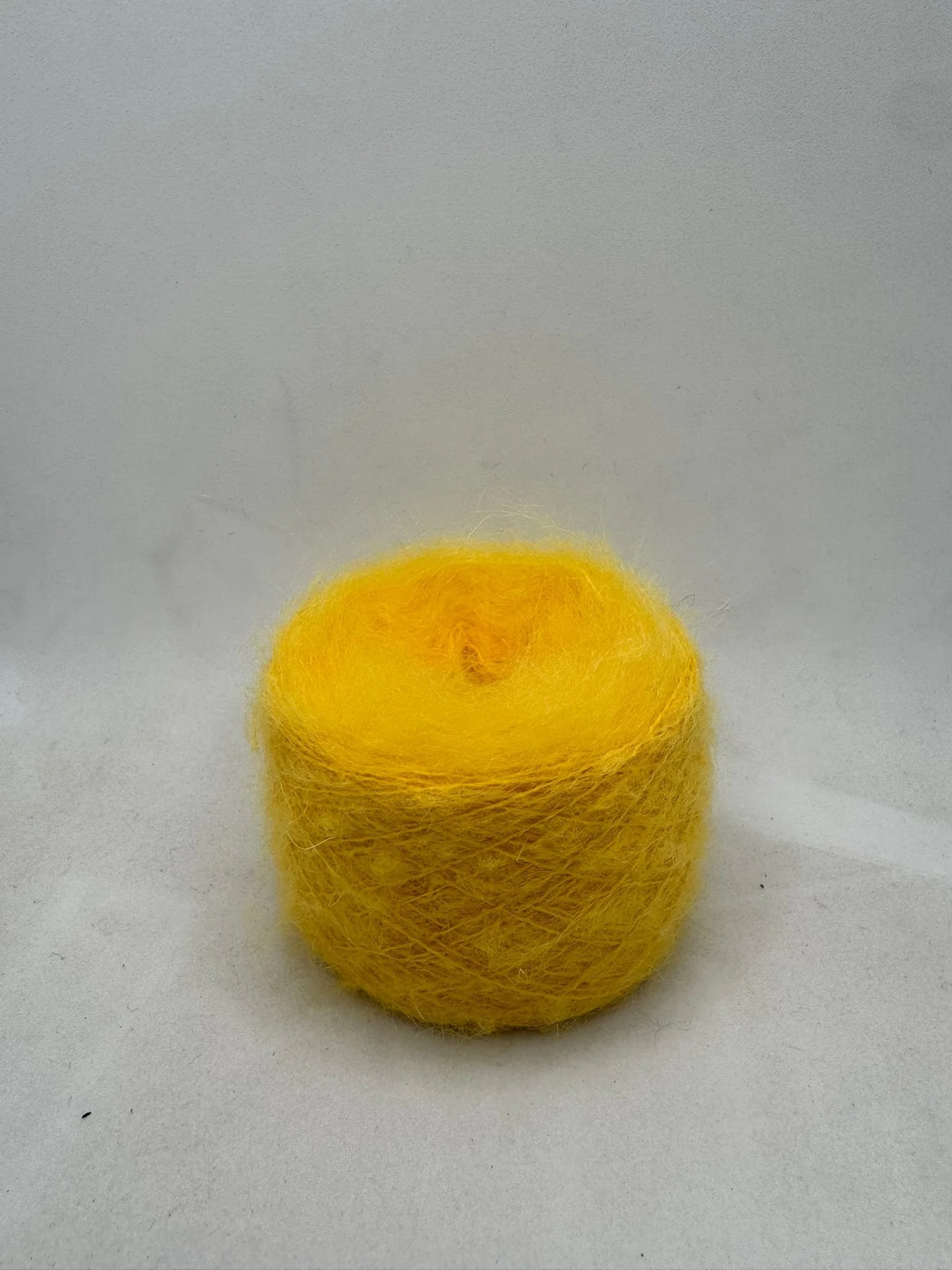 Immagine WhatsApp 2025-11-03 ore 11.05.33_0443df1e.jpg