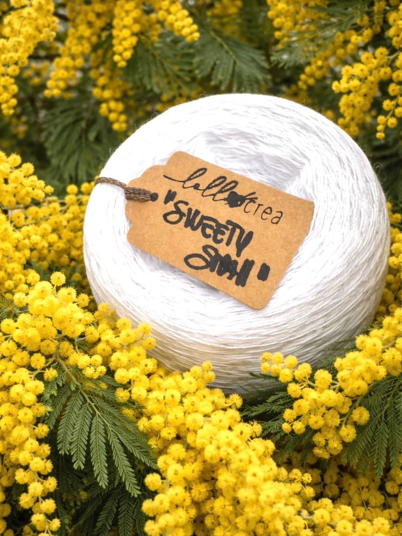 8 Marzo 🌼

Auguri a tutte le Donne che con un semplice filo riescono a creare meraviglie 

#8marzo #festadelladonna #filati #handmadeitaly #passione