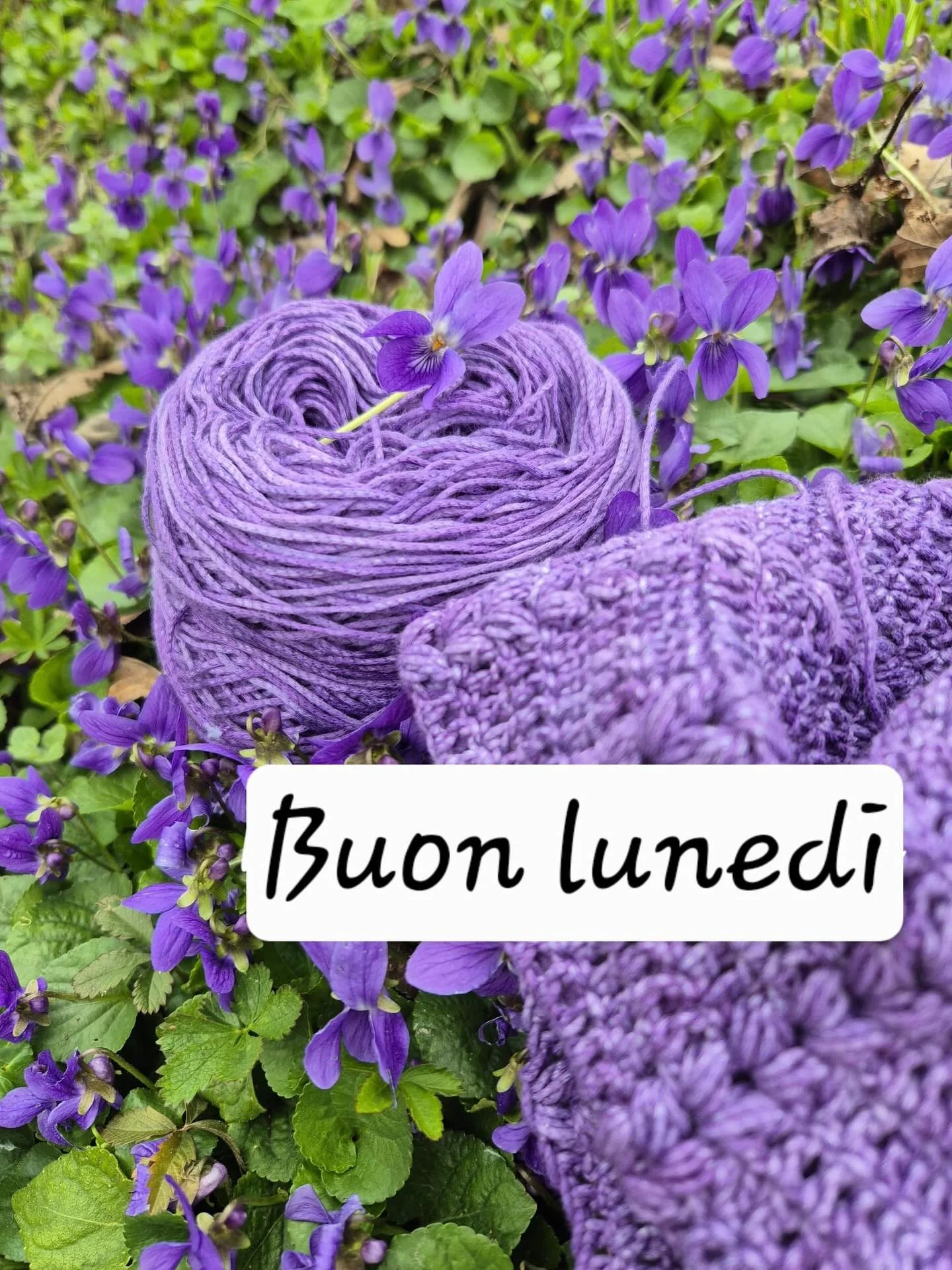 Filato Raund 💜🪻