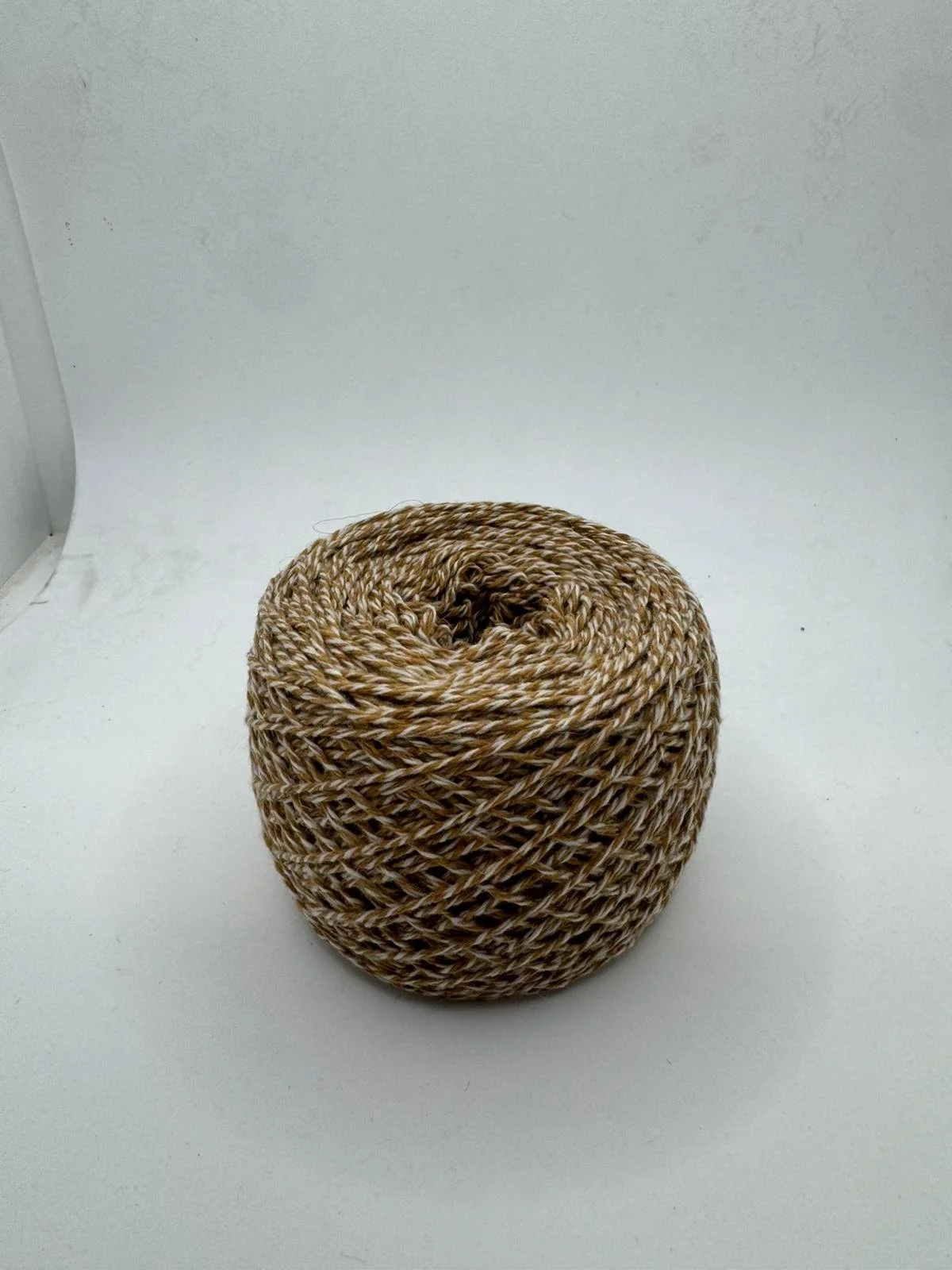 Immagine WhatsApp 2025-12-15 ore 10.47.54_1dee2dd3.jpg